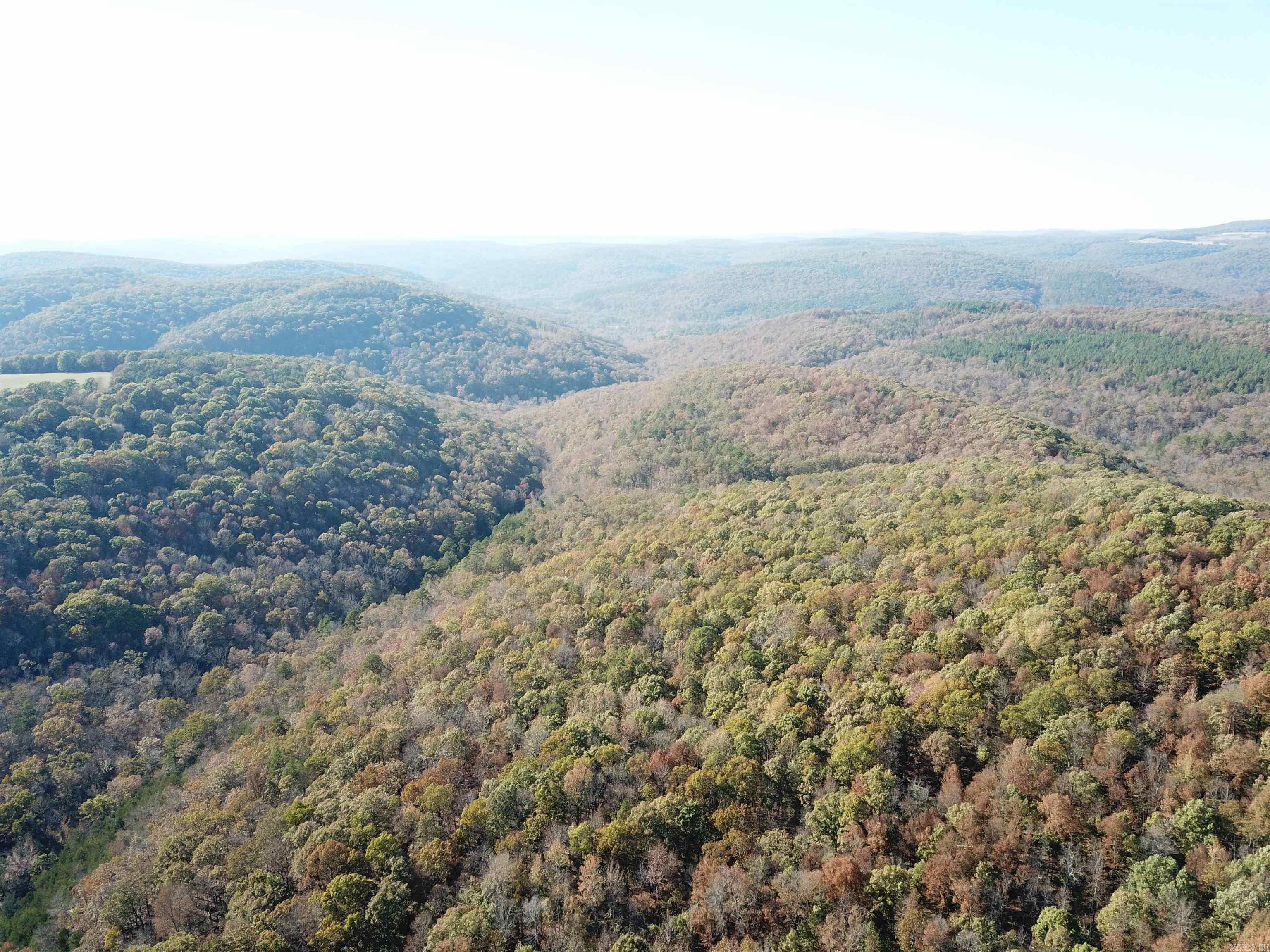 000-13222-000  Dabney  Jerusalem, AR