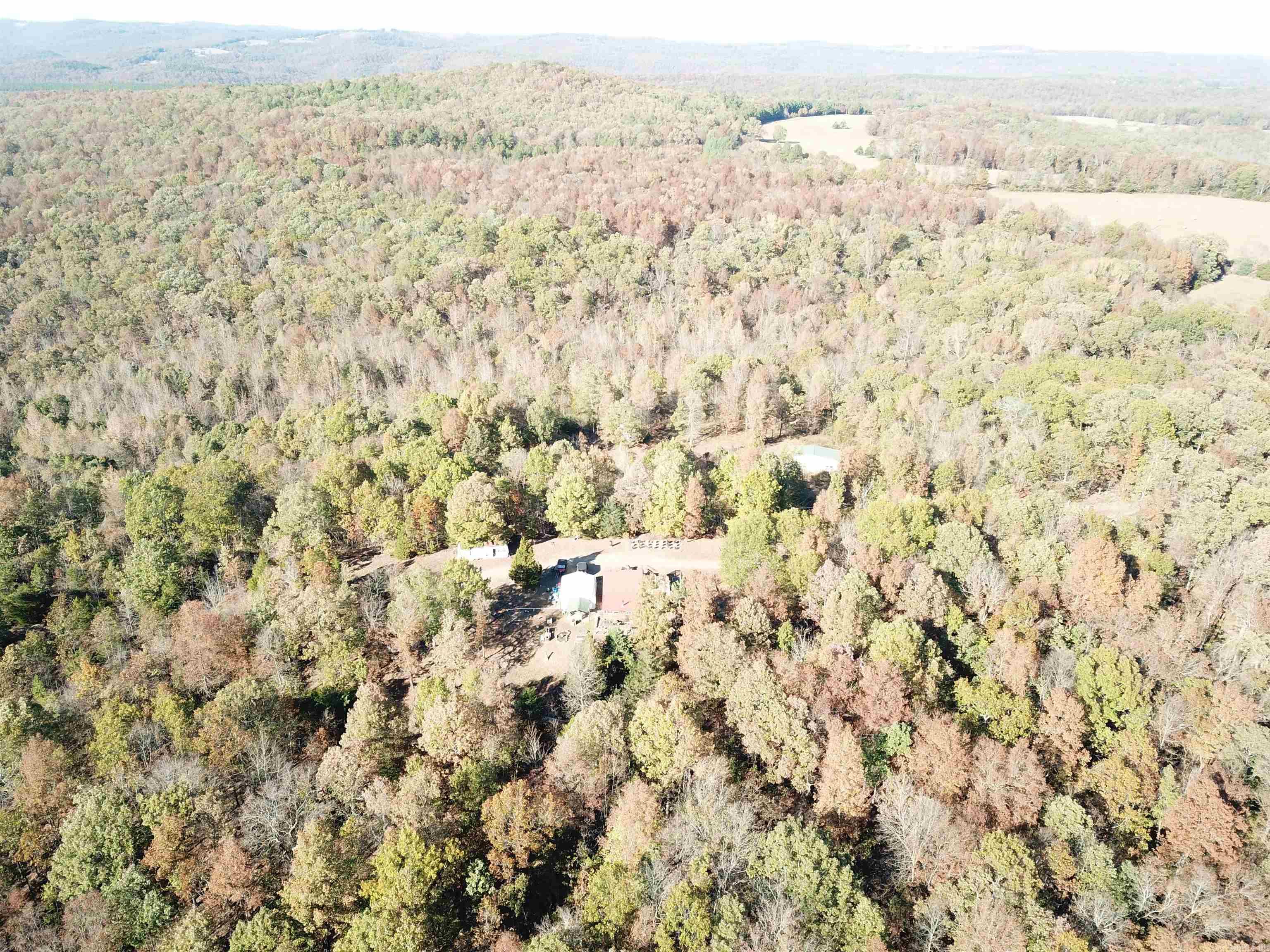 000-13222-000  Dabney  Jerusalem, AR