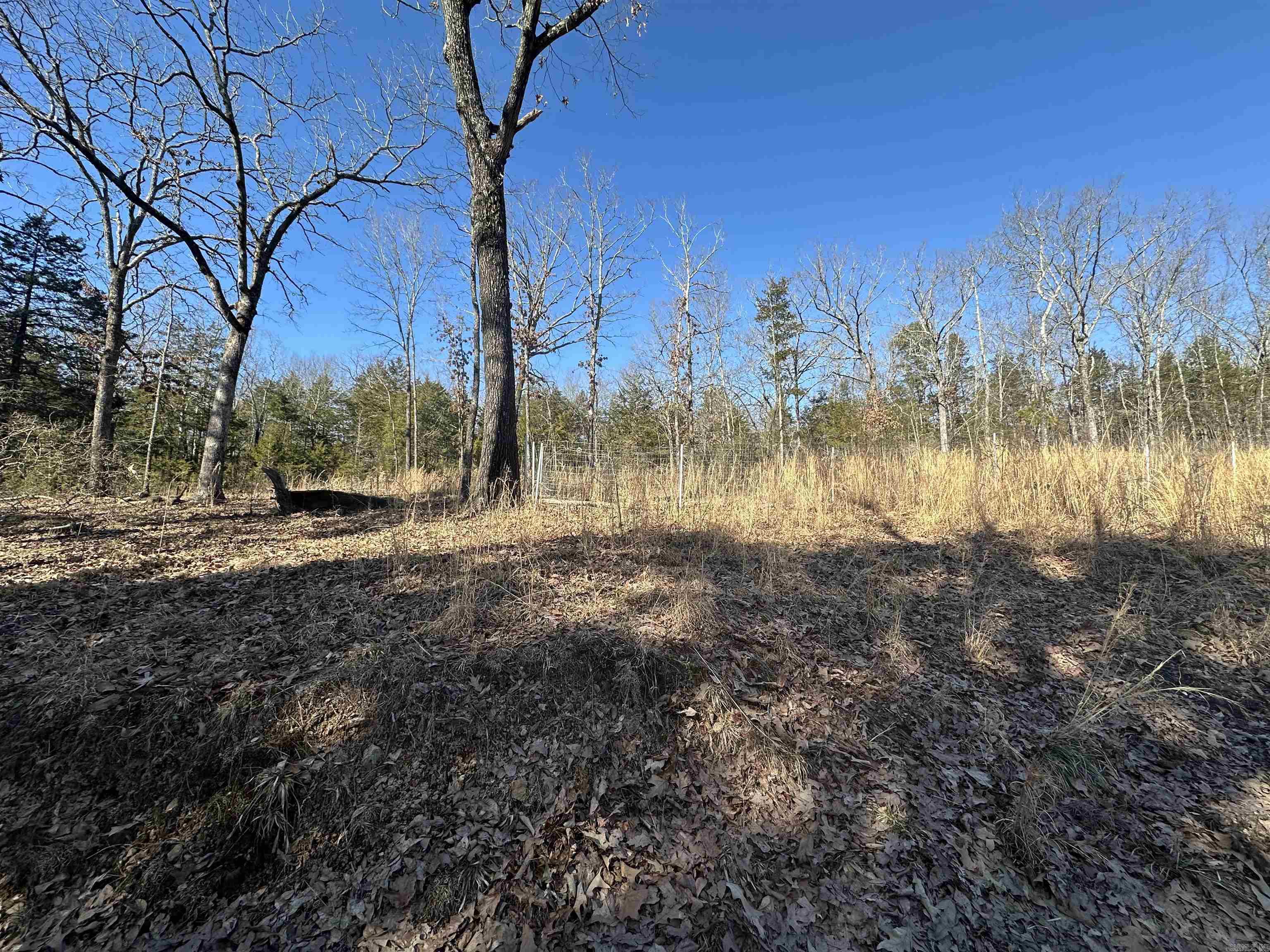 50  Cochise  Greers Ferry, AR