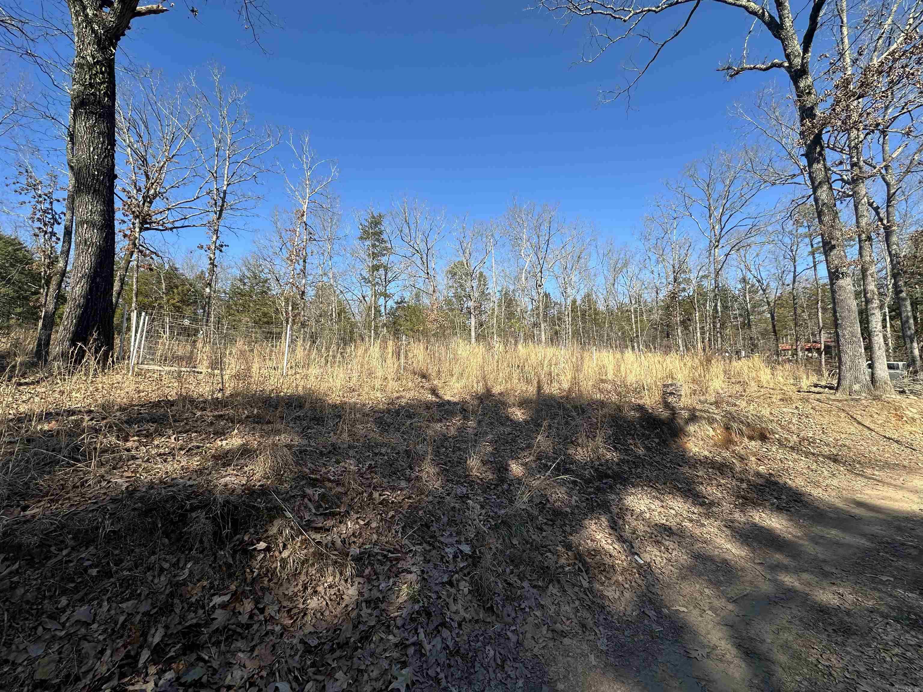 50  Cochise  Greers Ferry, AR