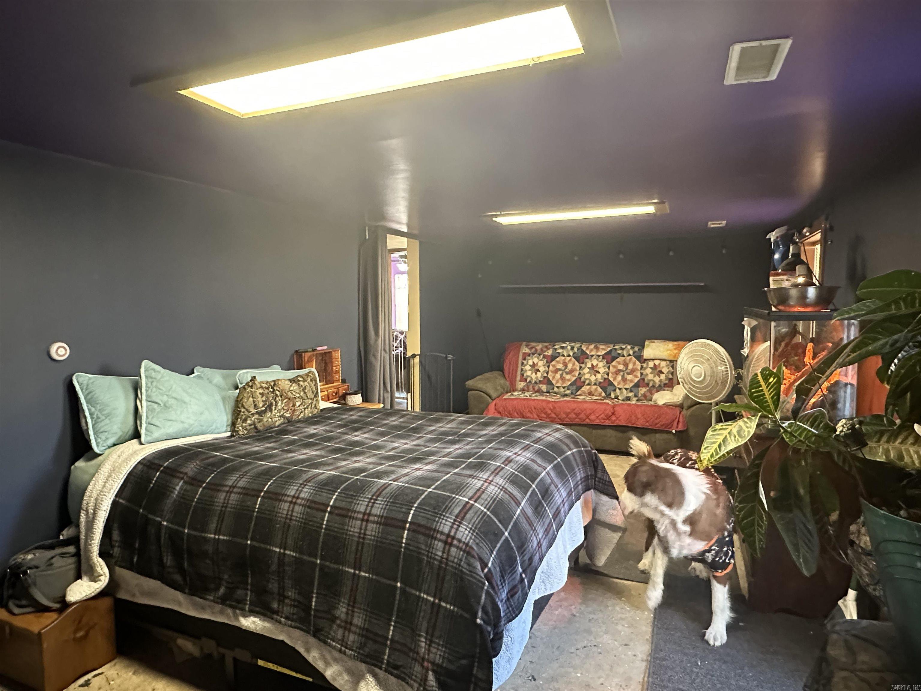 50  Cochise  Greers Ferry, AR