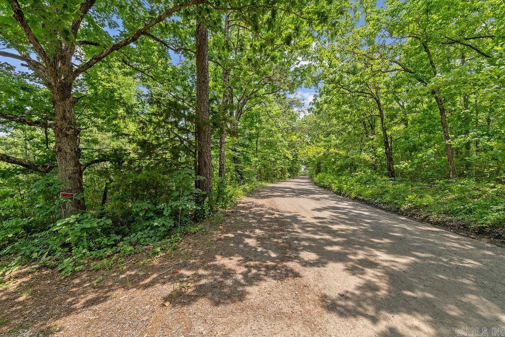 246  Kirkendoll Rd  Clinton, AR