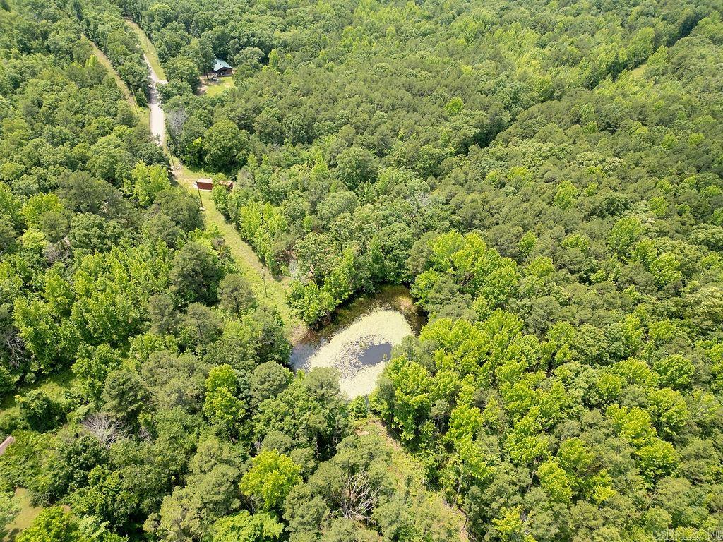 246  Kirkendoll Rd  Clinton, AR