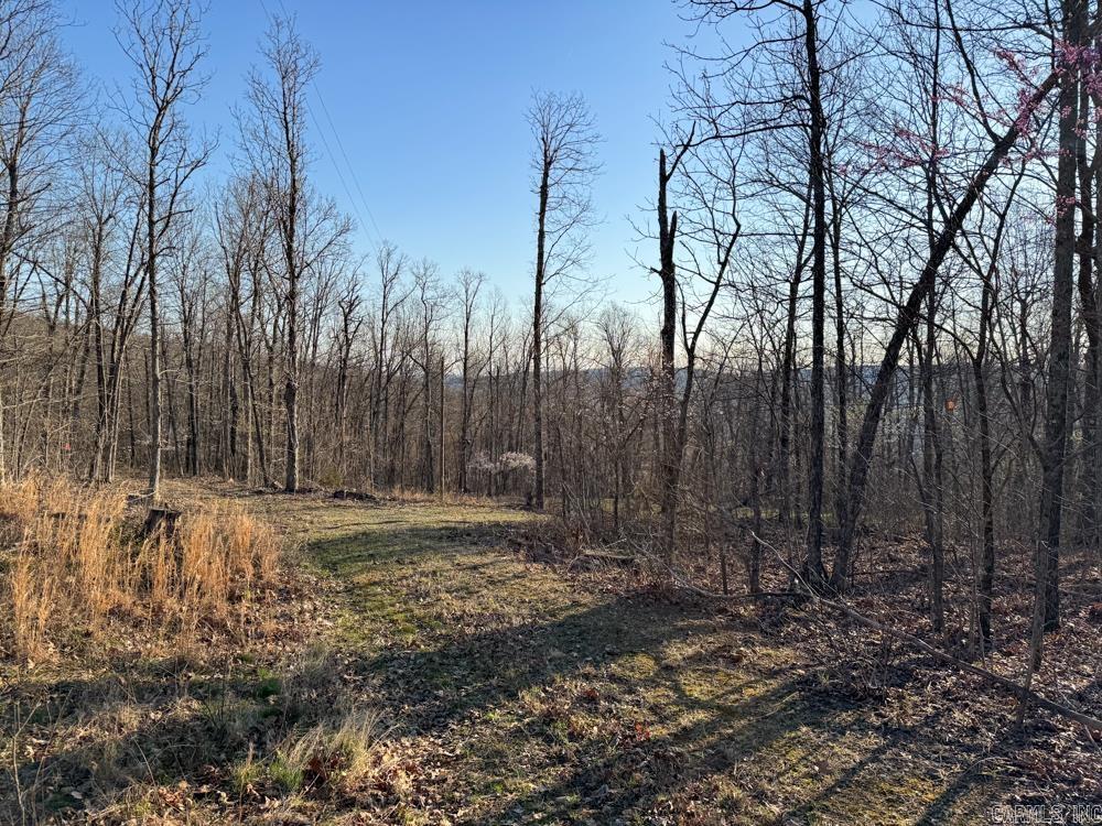 1169  liberty  Leslie, AR