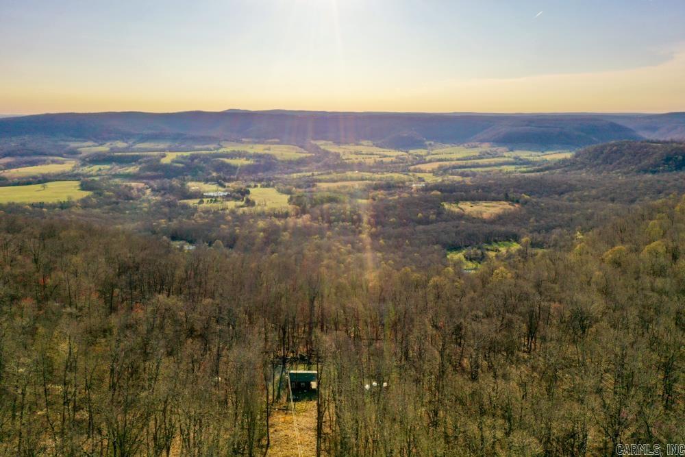 1169  liberty  Leslie, AR