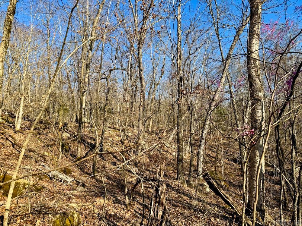 1169  liberty  Leslie, AR