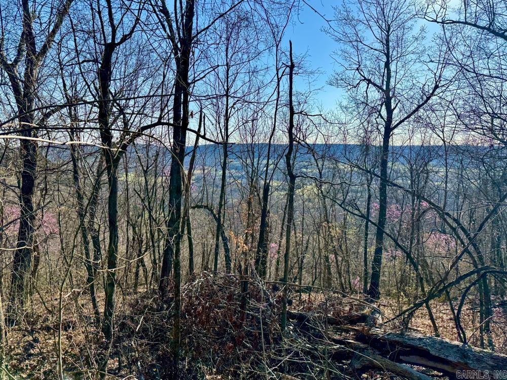 1169  liberty  Leslie, AR