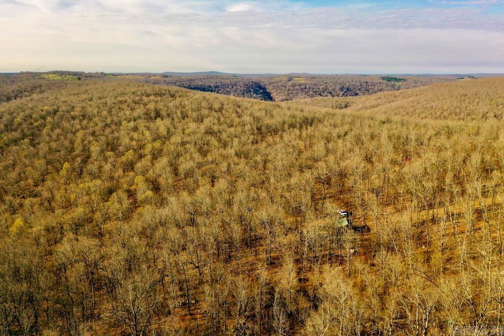 1169  liberty  Leslie, AR