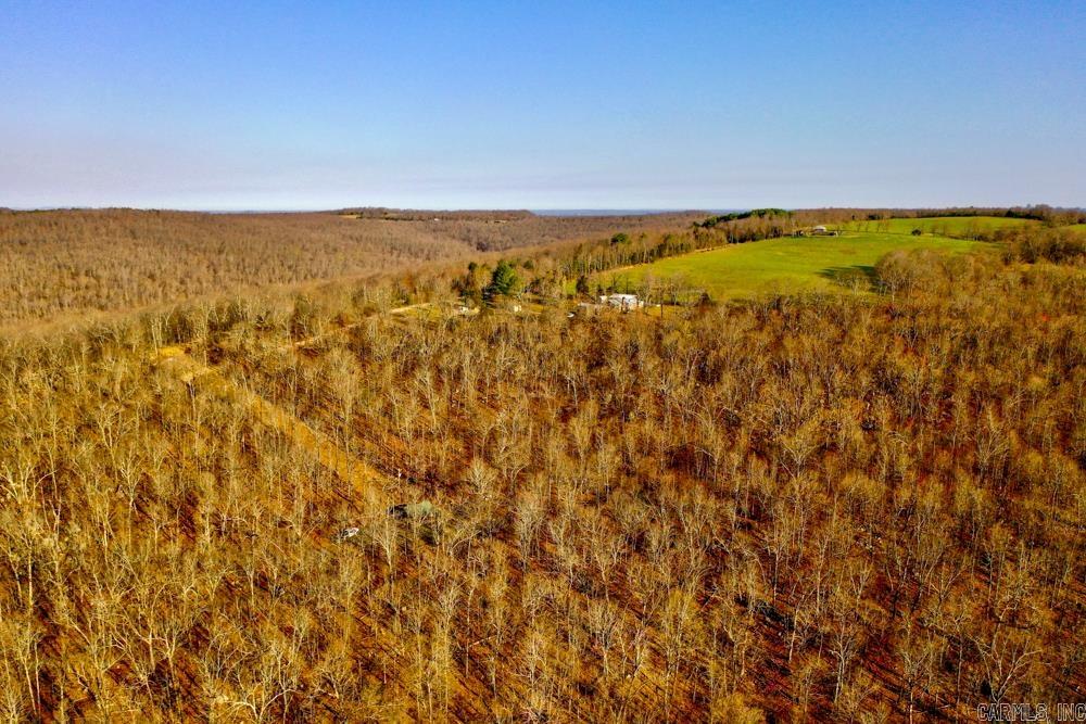 1169  liberty  Leslie, AR