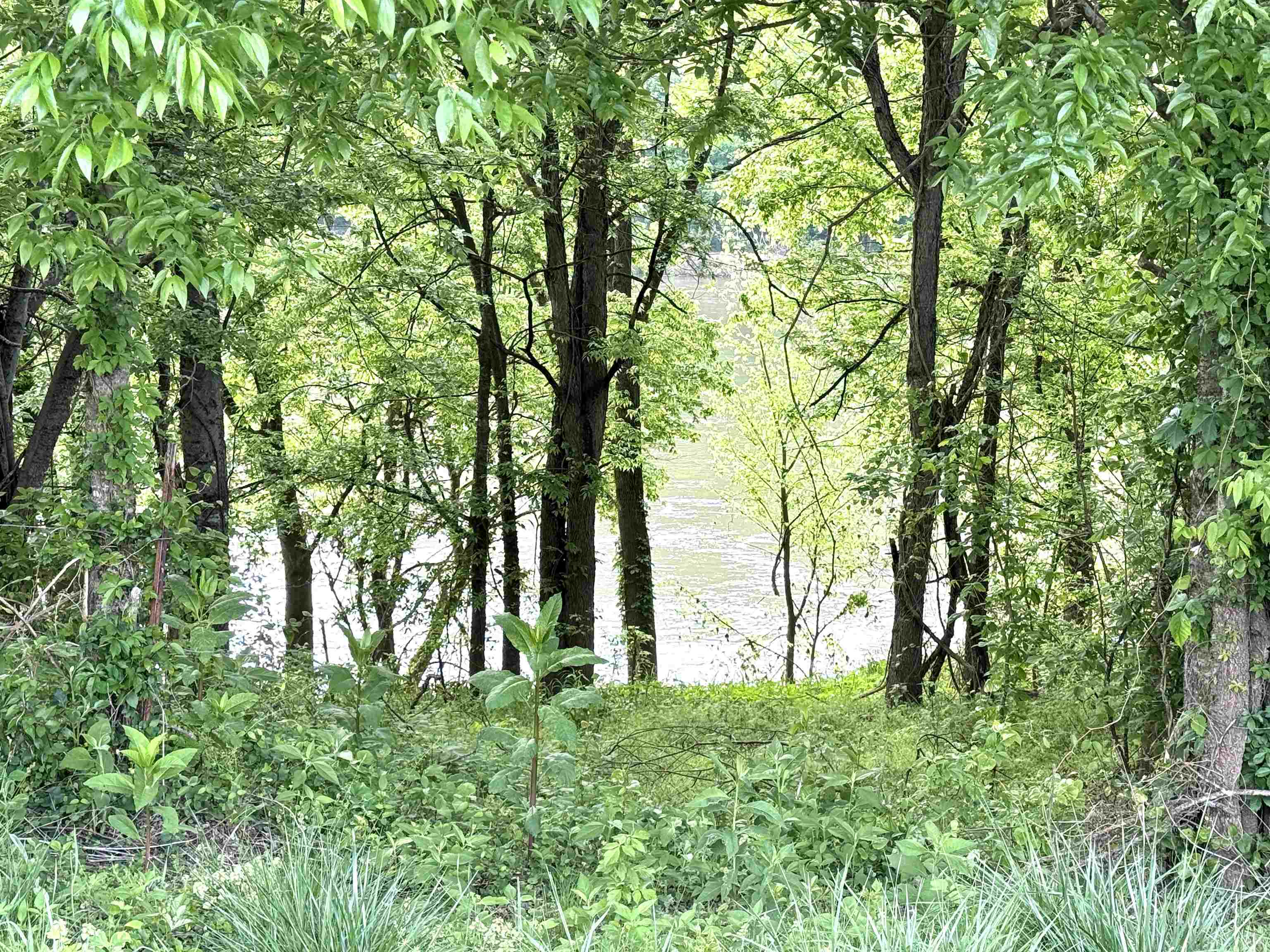 21  Allure Lane  Mountain View, AR