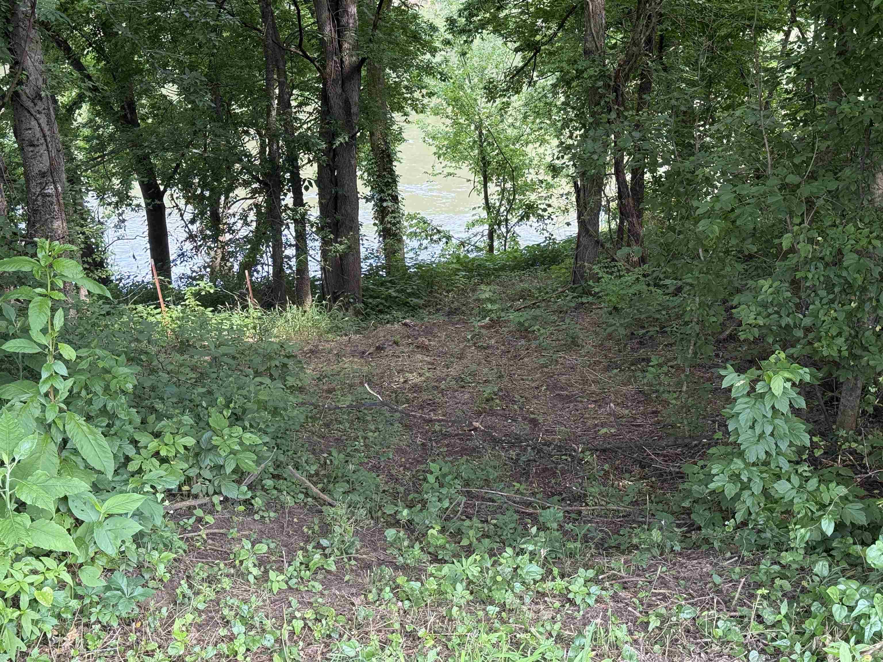 21  Allure Lane  Mountain View, AR