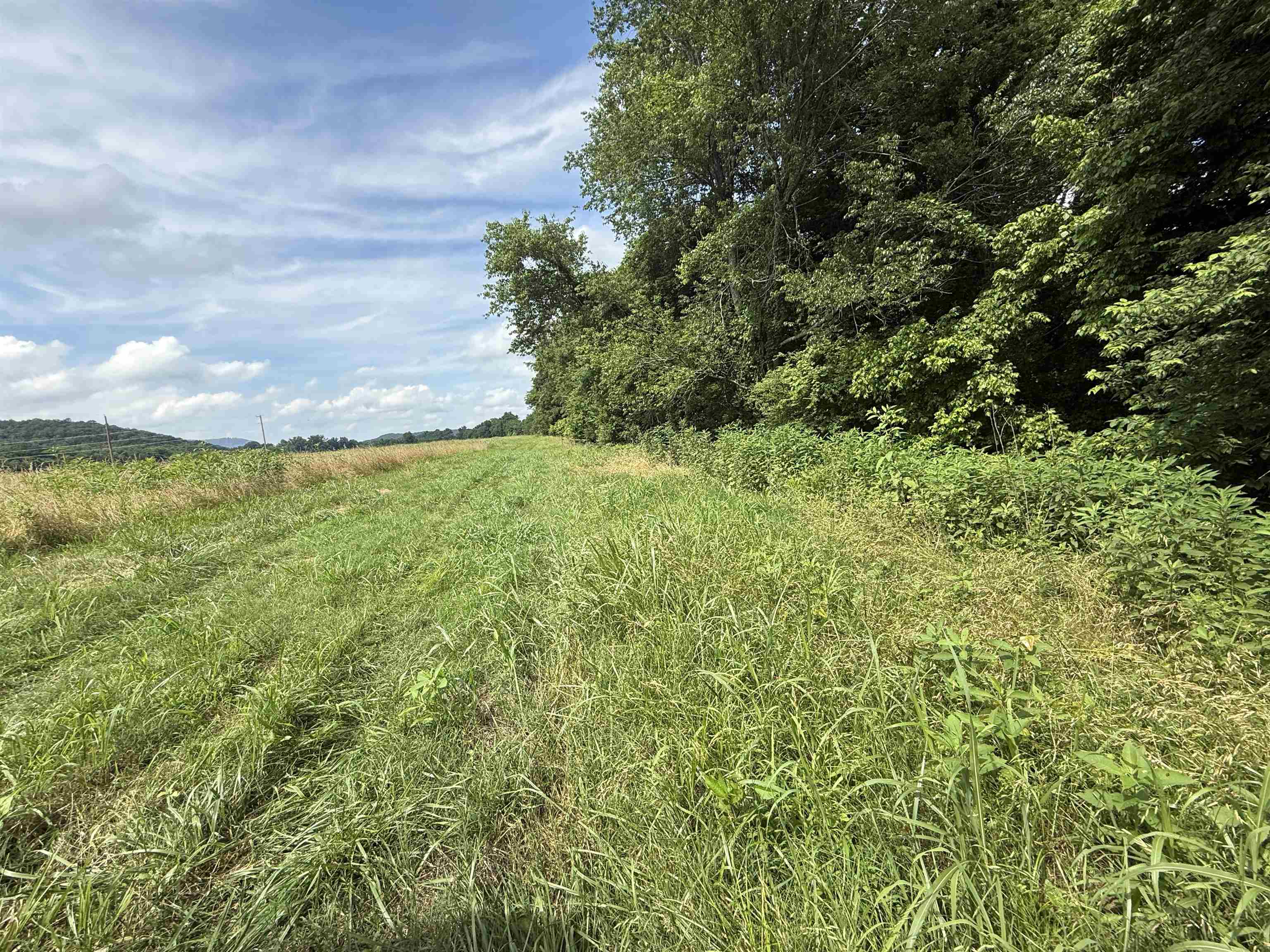 21  Allure Lane  Mountain View, AR