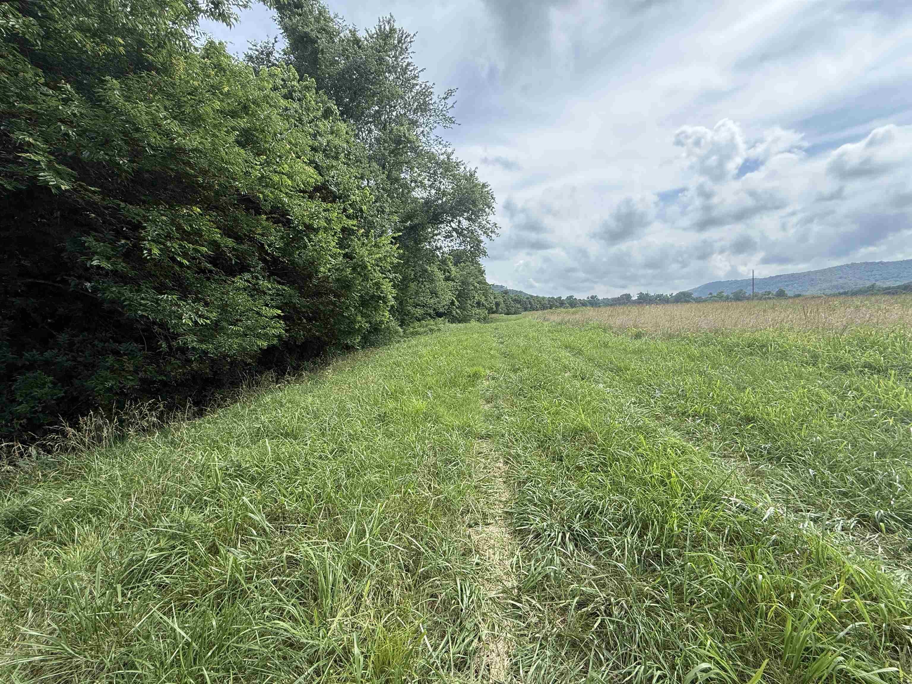 21  Allure Lane  Mountain View, AR