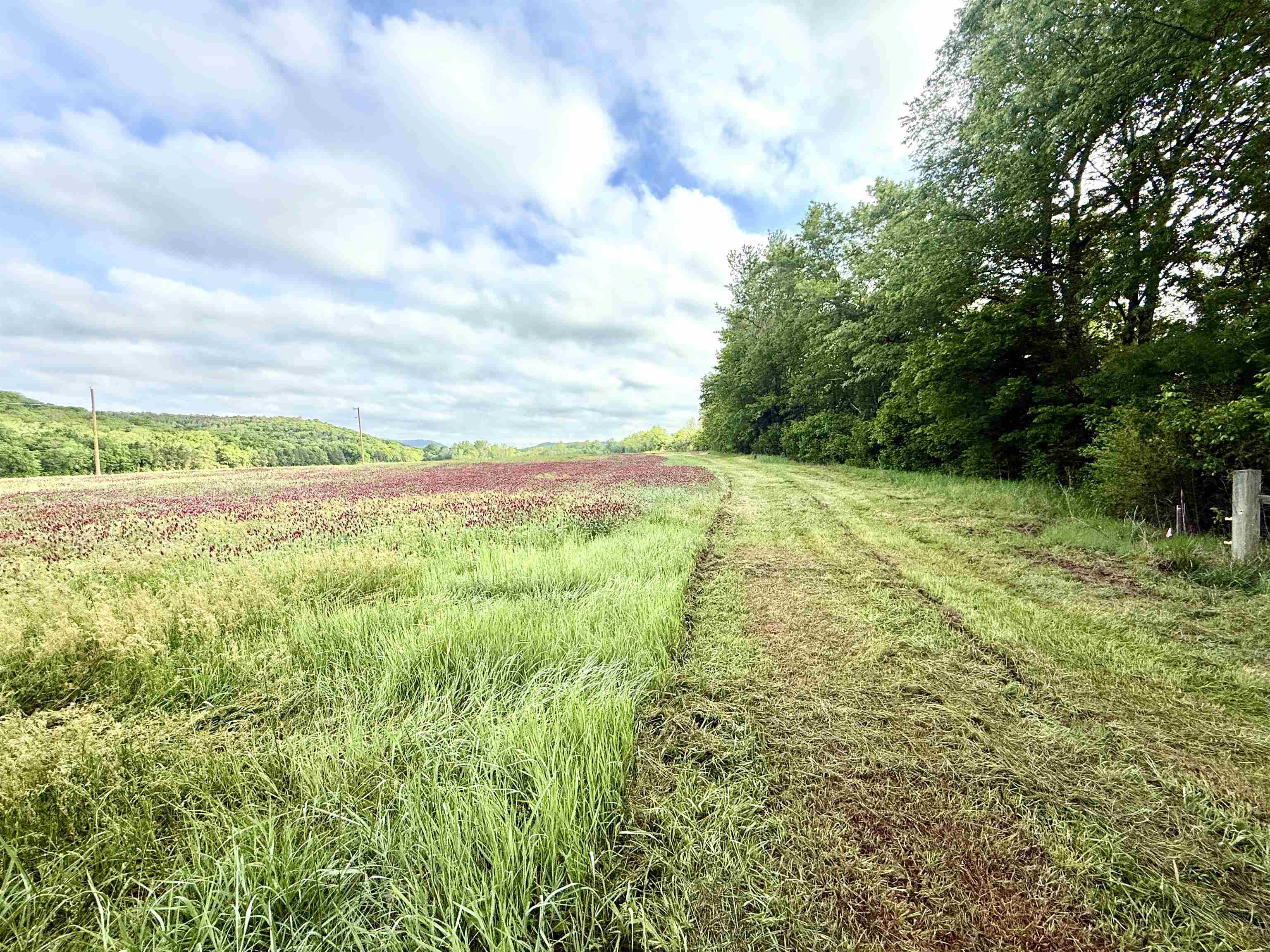 21  Allure Lane  Mountain View, AR