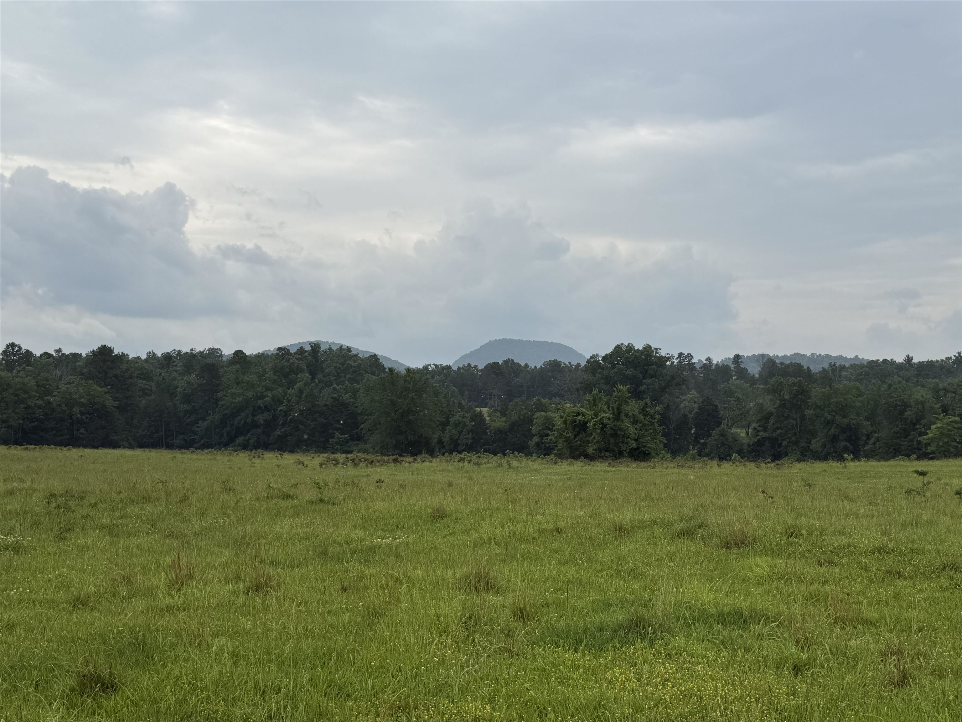 21  Allure Lane  Mountain View, AR