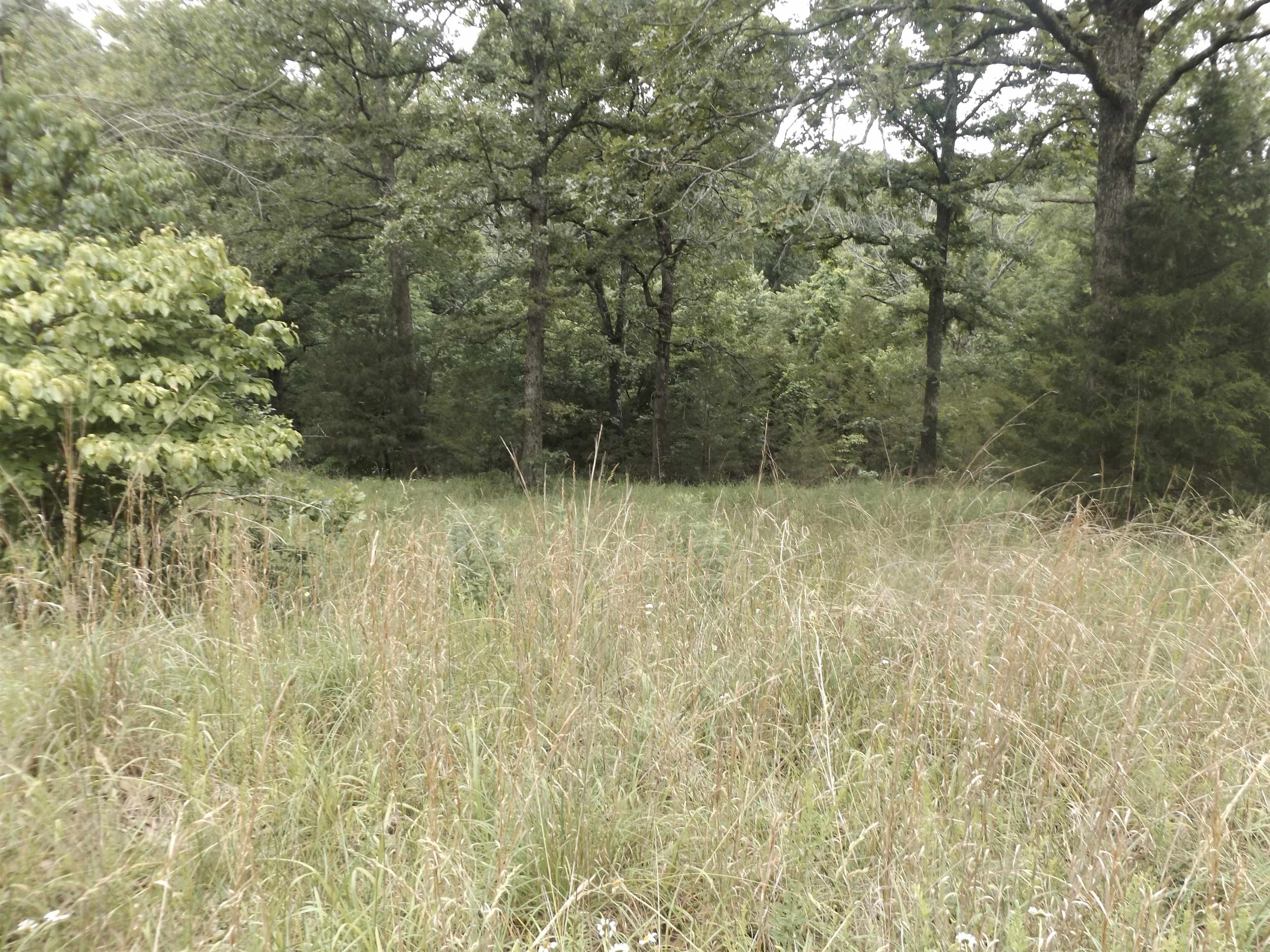 Tracts 1,2,3,4  Sherwood Hills  Mountain Home, AR