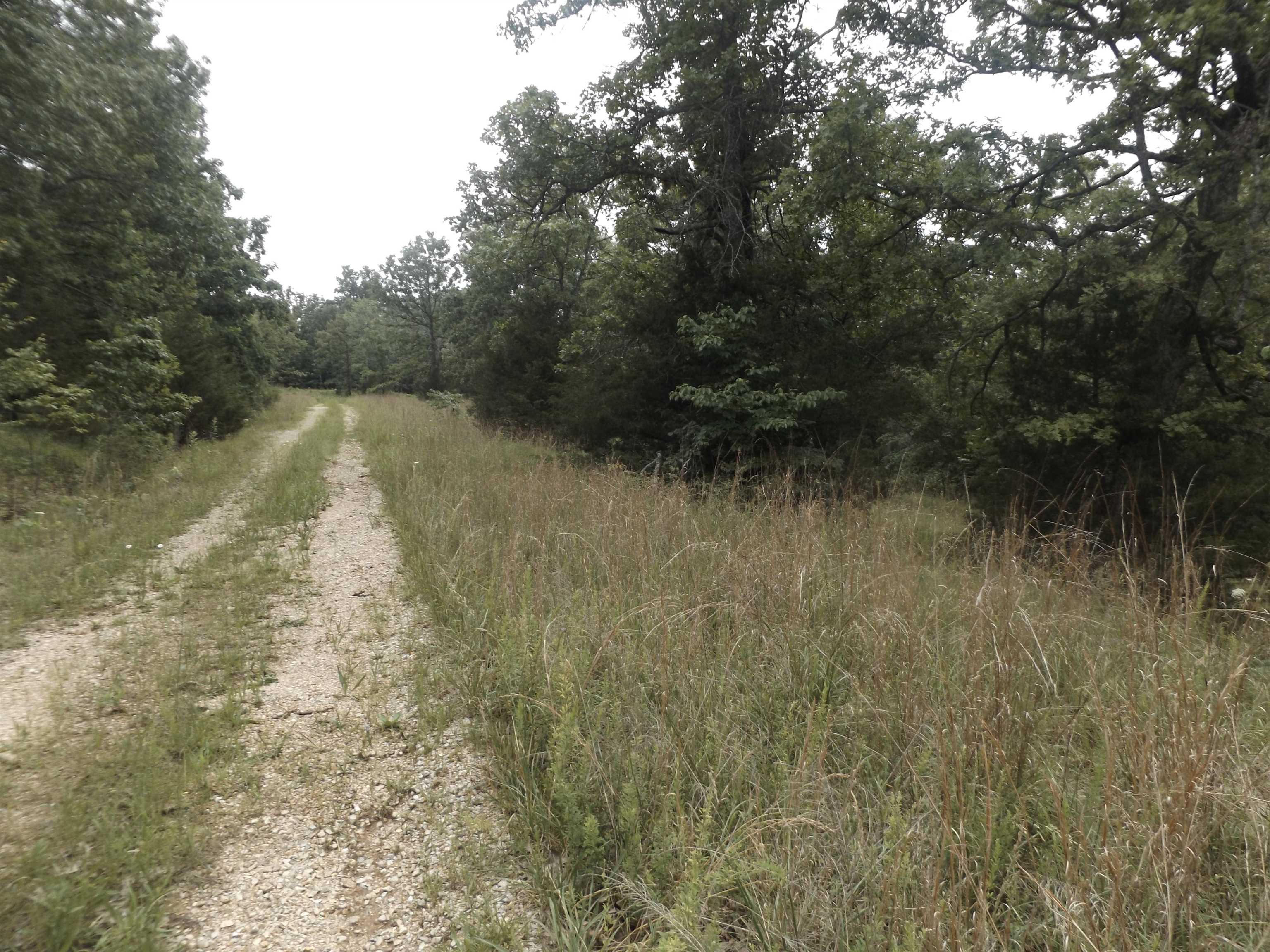 Tracts 1,2,3,4  Sherwood Hills  Mountain Home, AR