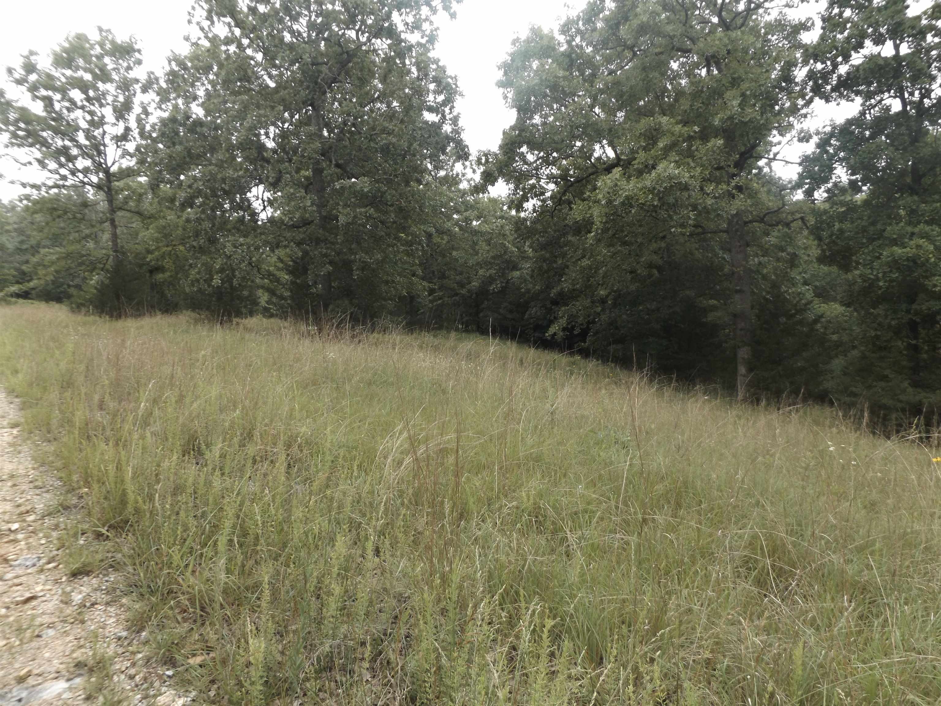 Tracts 1,2,3,4  Sherwood Hills  Mountain Home, AR