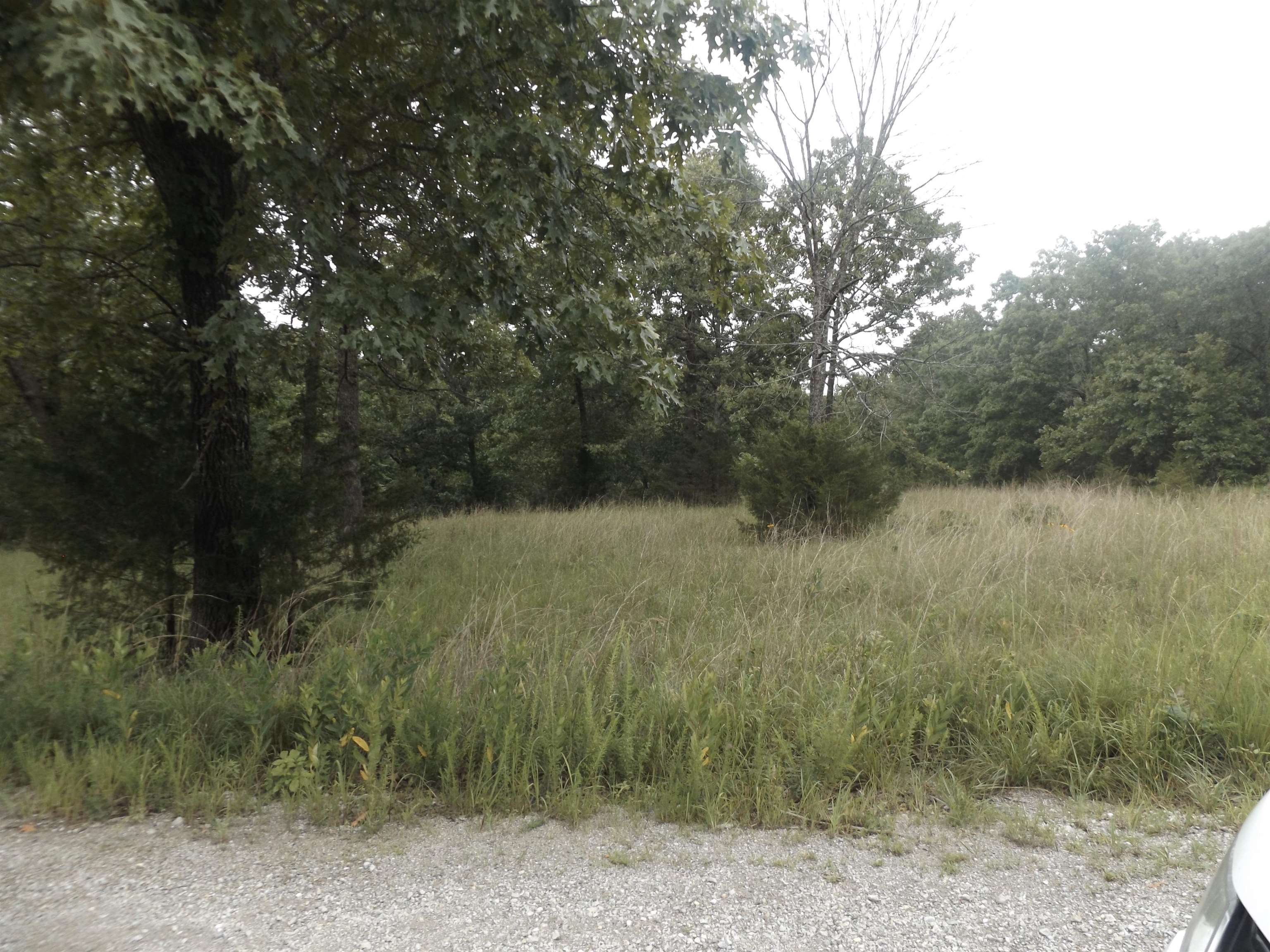 Tracts 1,2,3,4  Sherwood Hills  Mountain Home, AR
