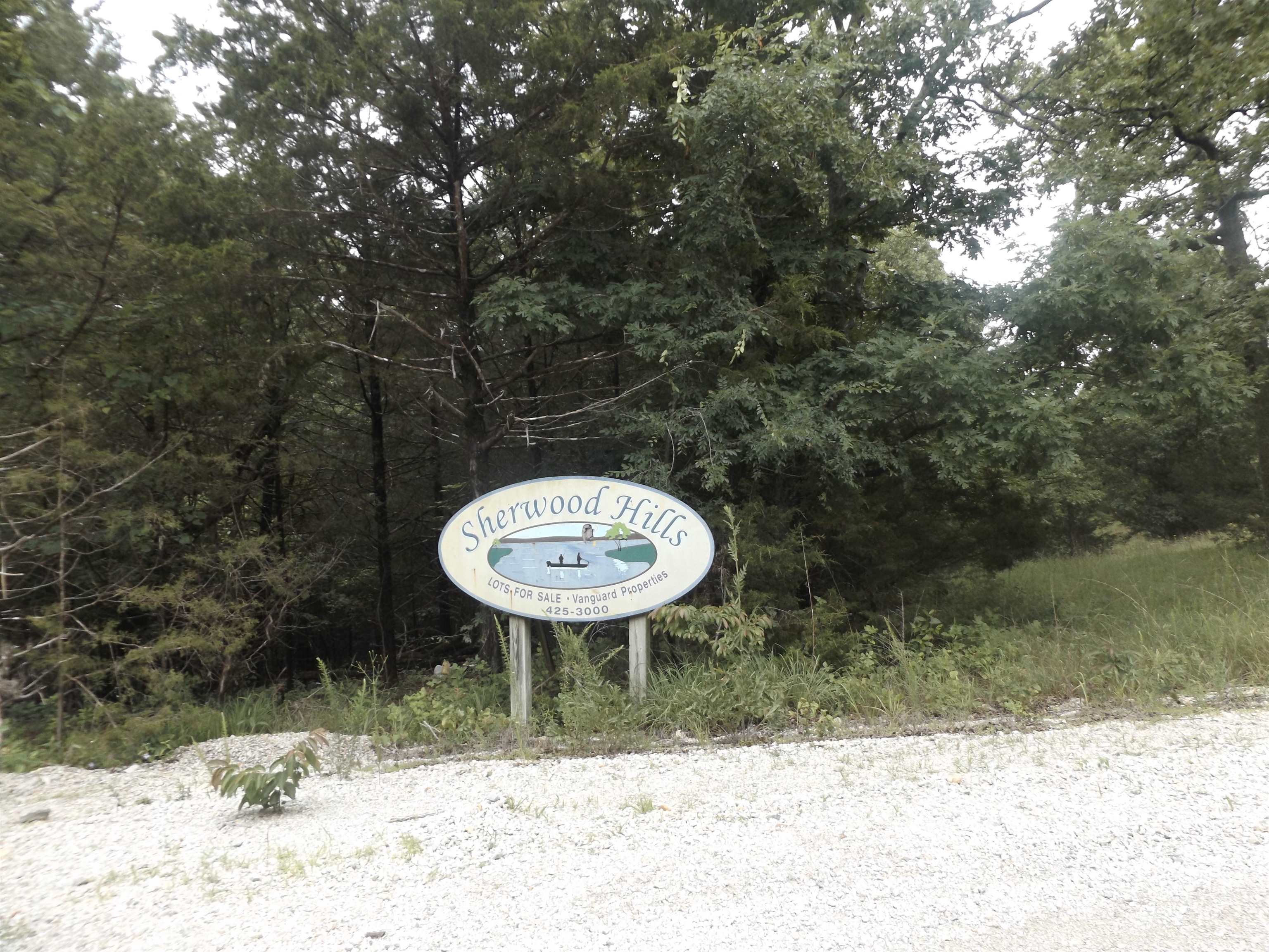 Tracts 1,2,3,4  Sherwood Hills  Mountain Home, AR