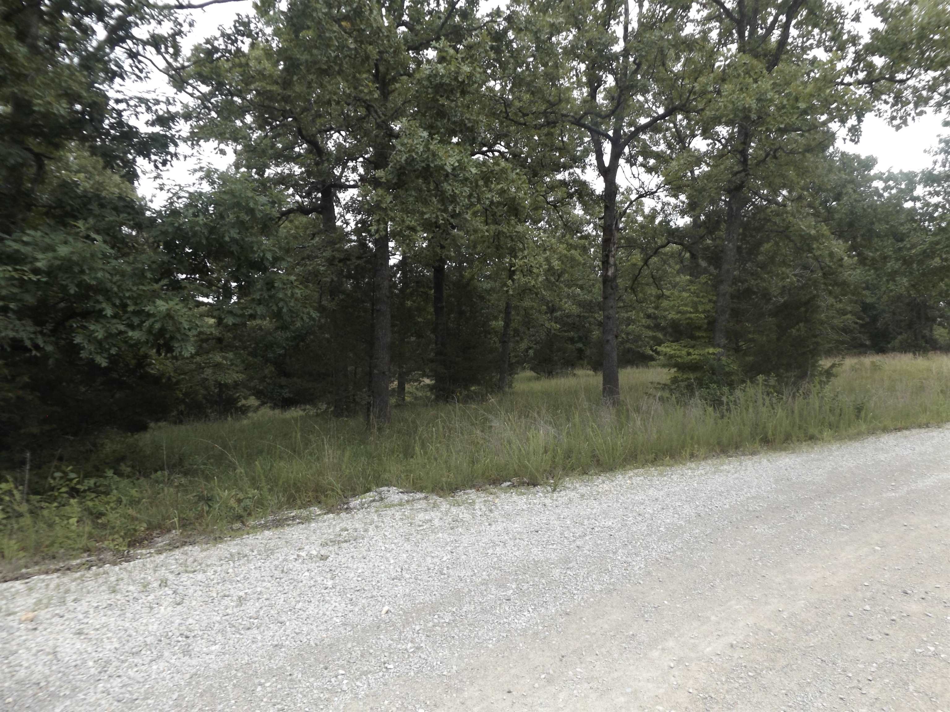 Tracts 1,2,3,4  Sherwood Hills  Mountain Home, AR