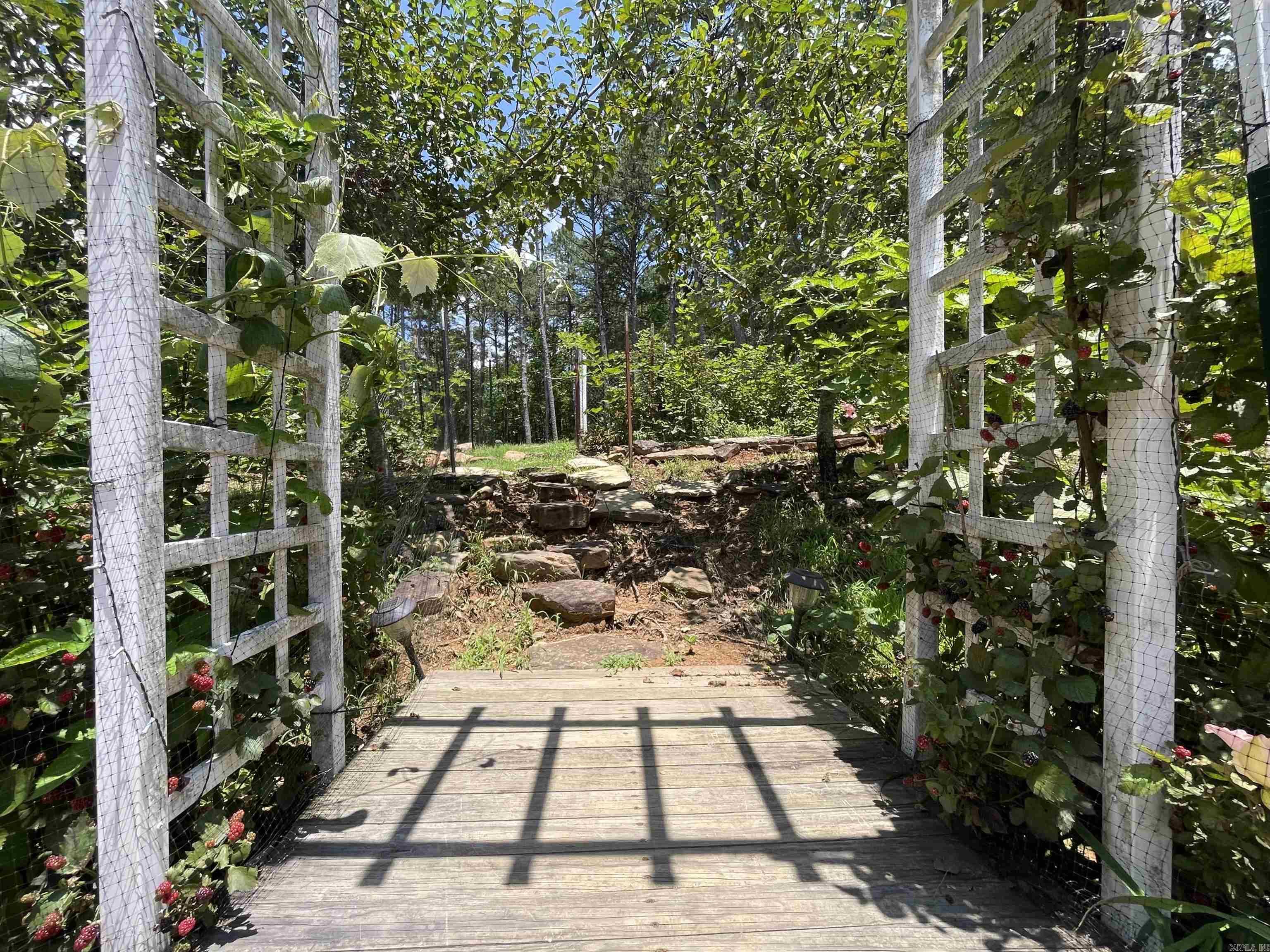 453  Razorback  Clinton, AR