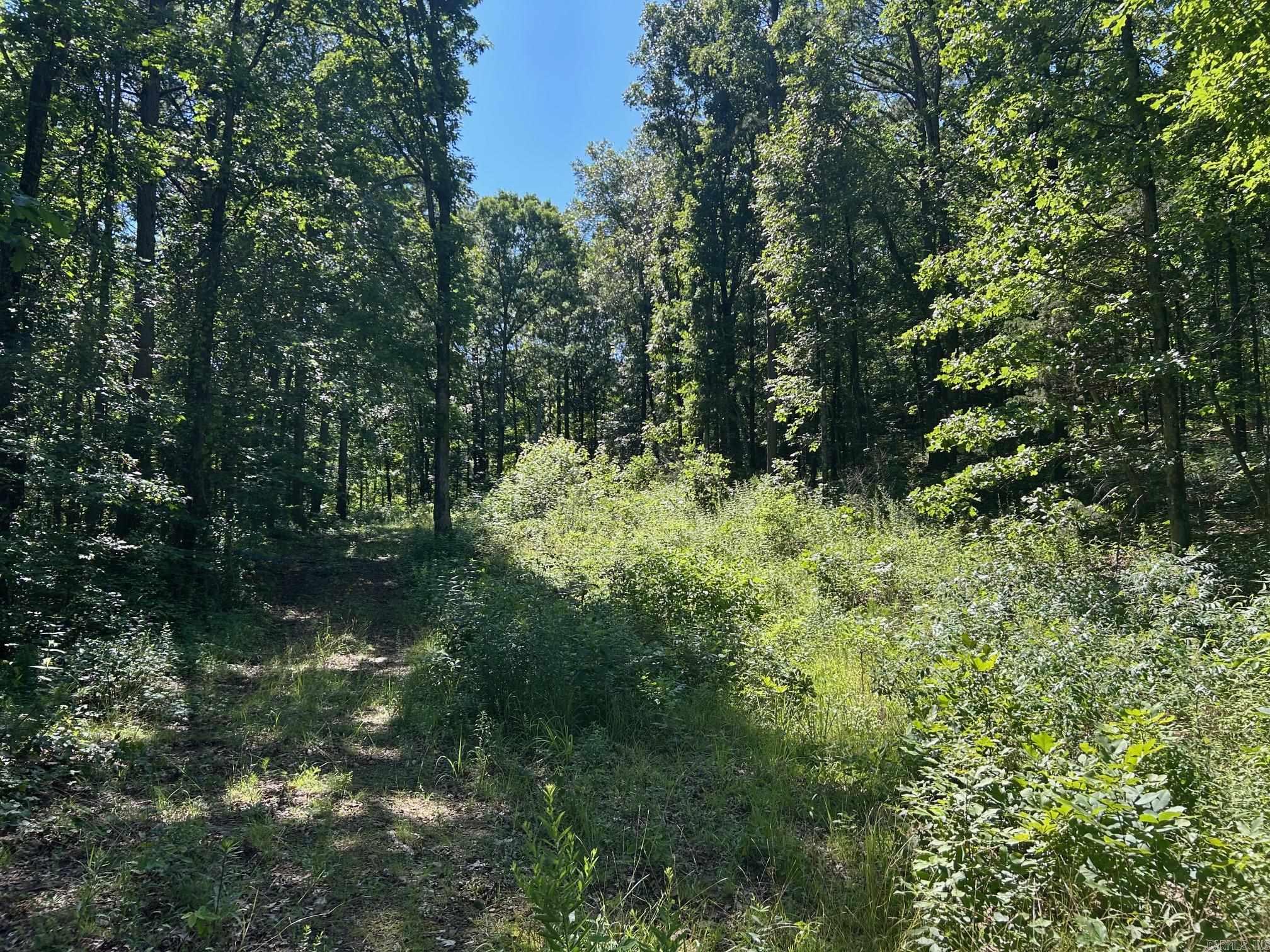   Timber Grove  Clinton, AR
