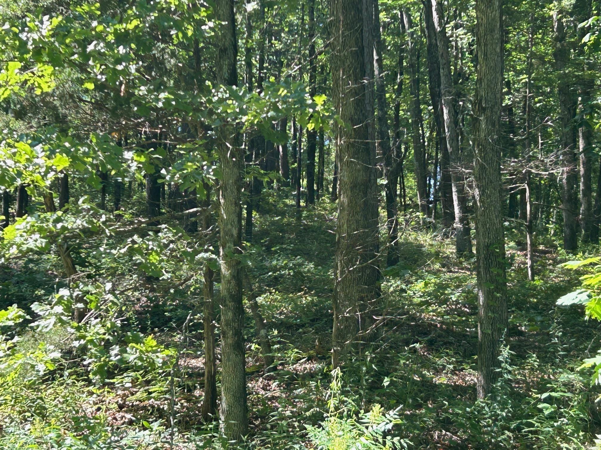   Timber Grove  Clinton, AR