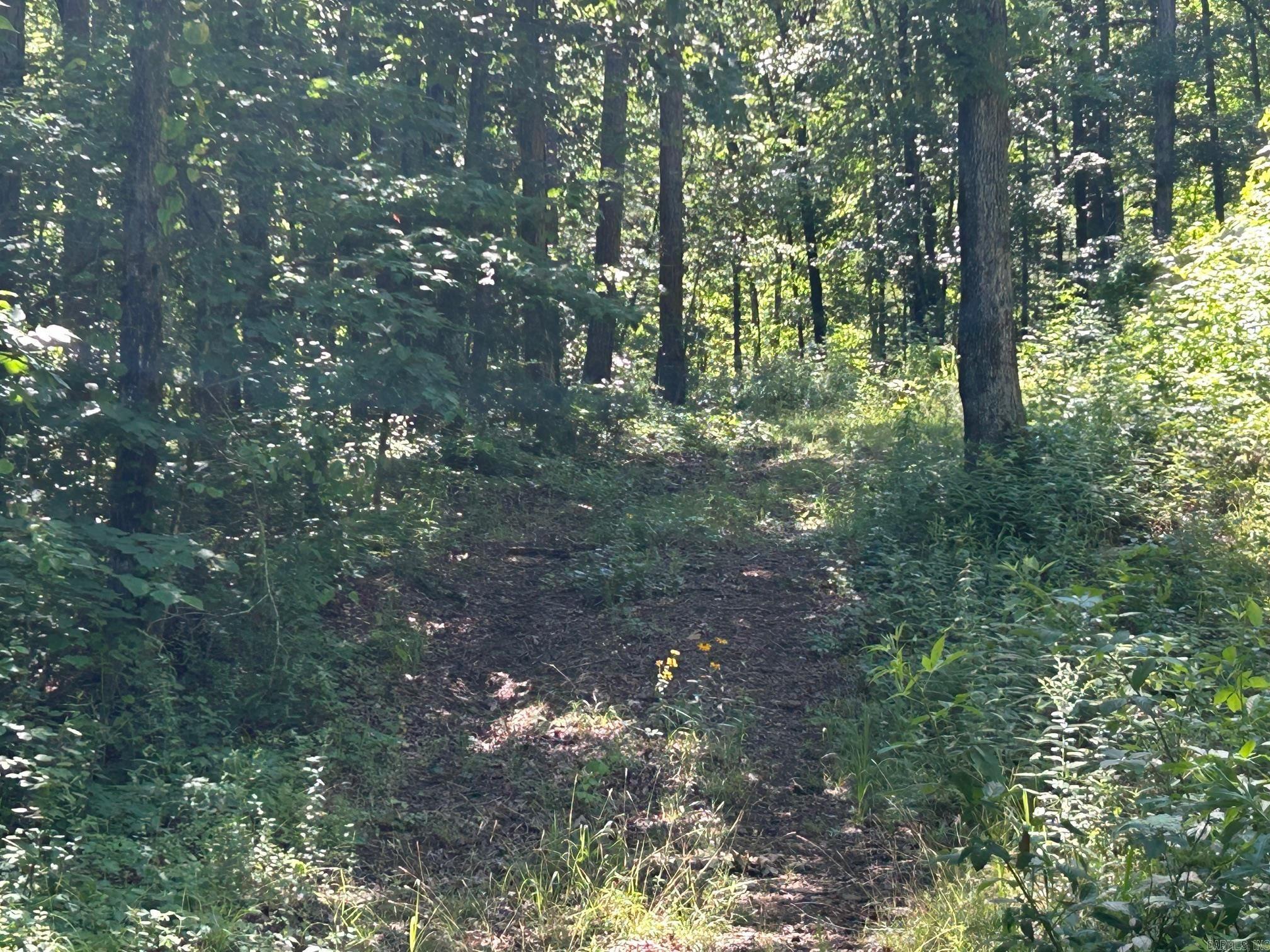   Timber Grove  Clinton, AR