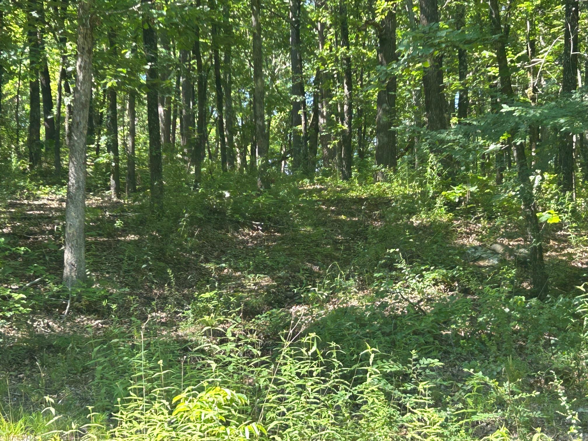   Timber Grove  Clinton, AR