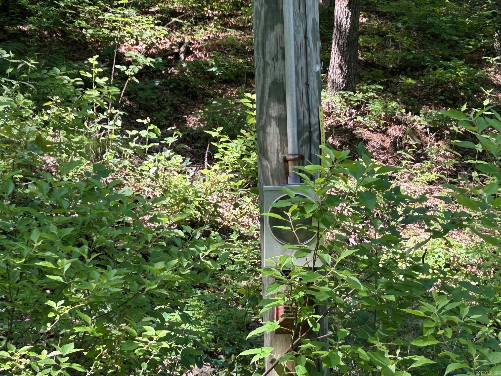   Timber Grove  Clinton, AR