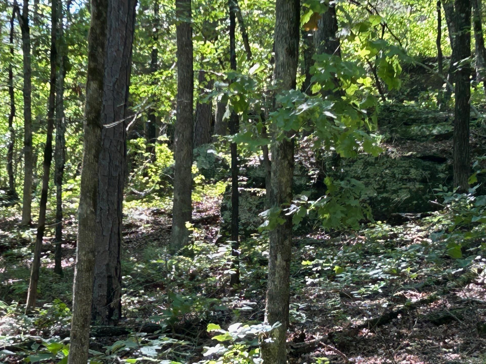   Timber Grove  Clinton, AR