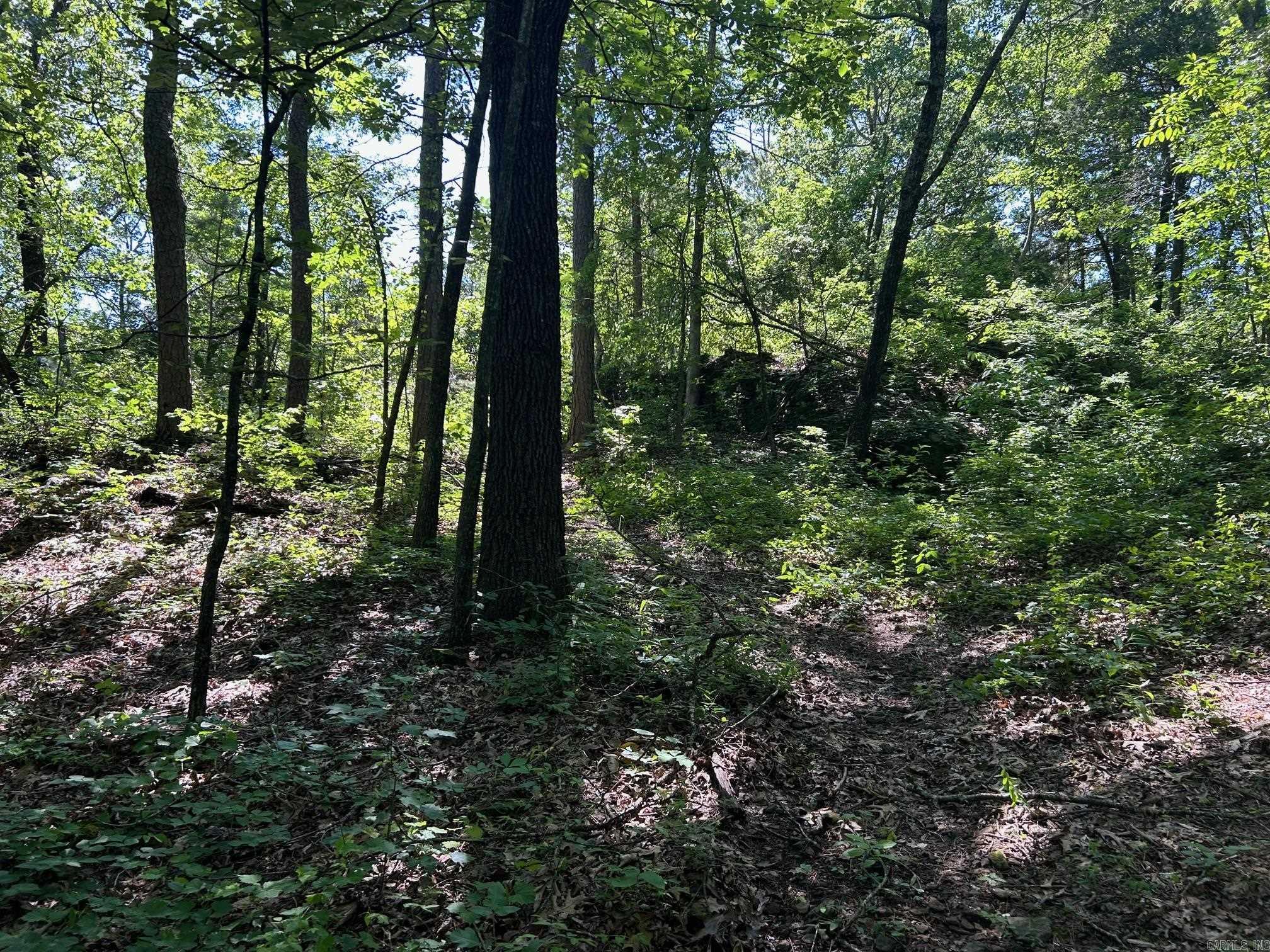   Timber Grove  Clinton, AR