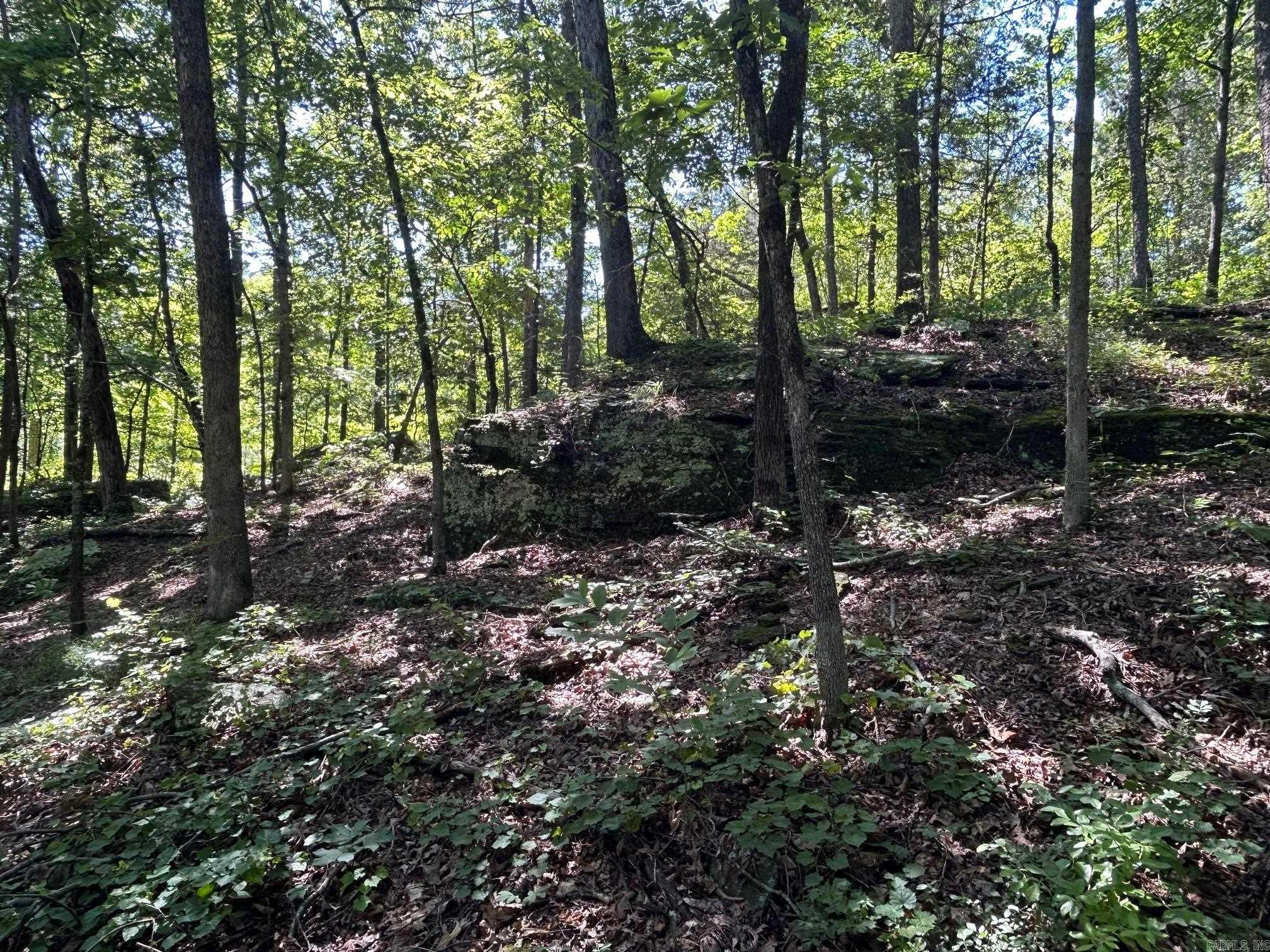   Timber Grove  Clinton, AR