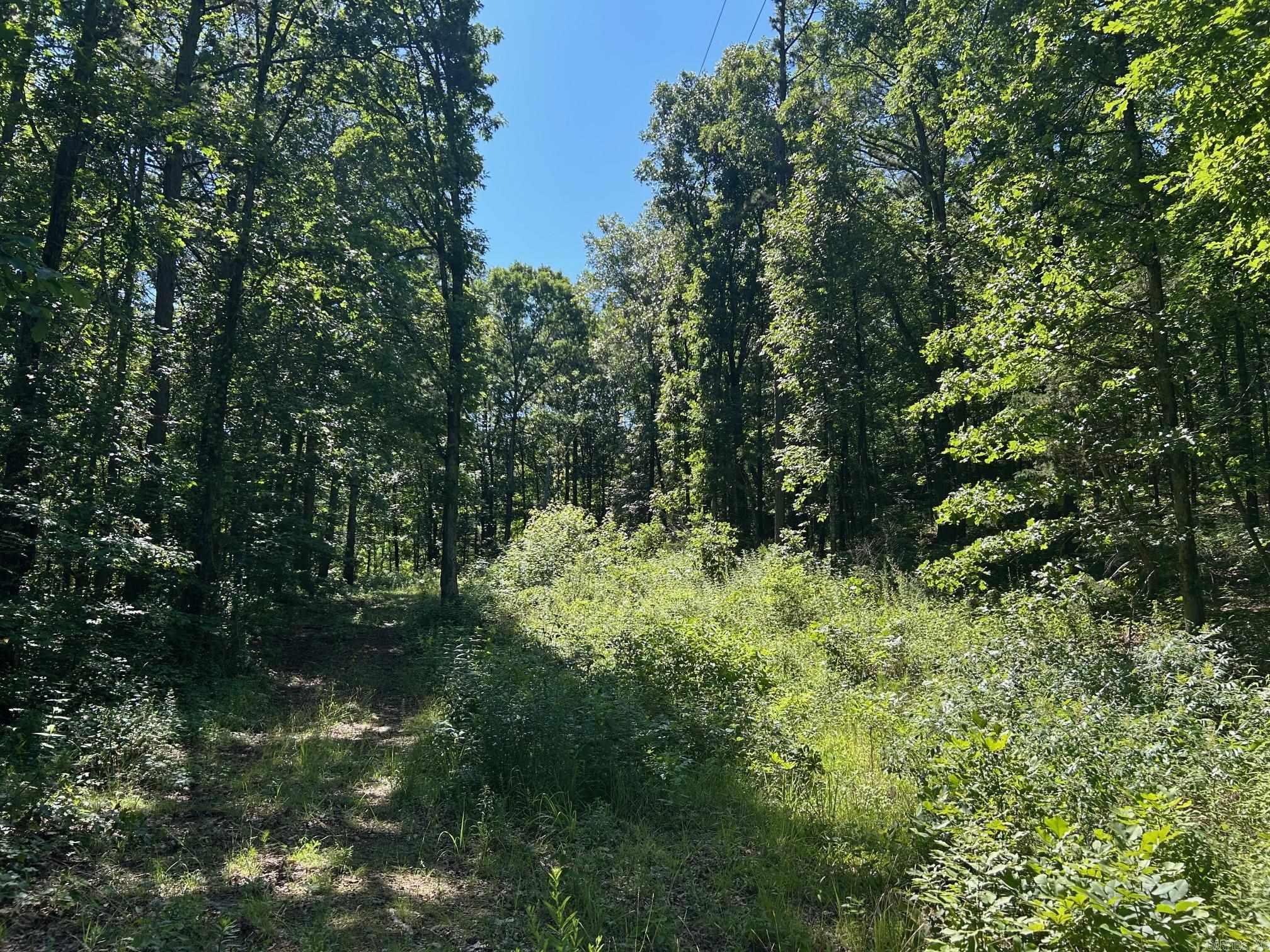   Timber Grove  Clinton, AR