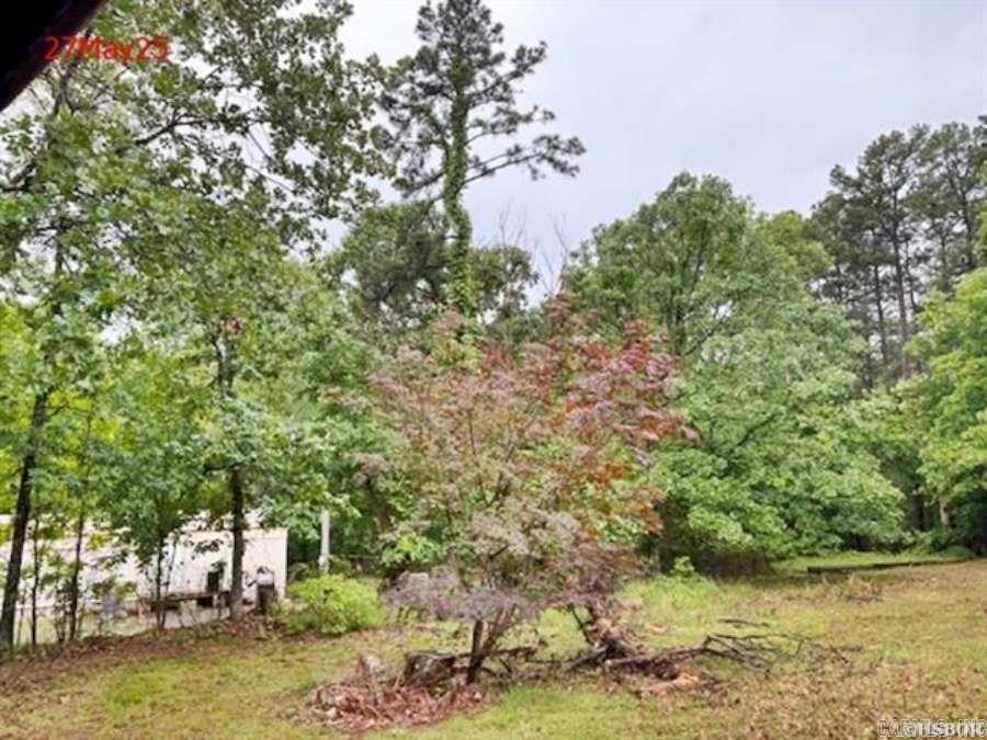 99  Mountain Village  Bigelow, AR