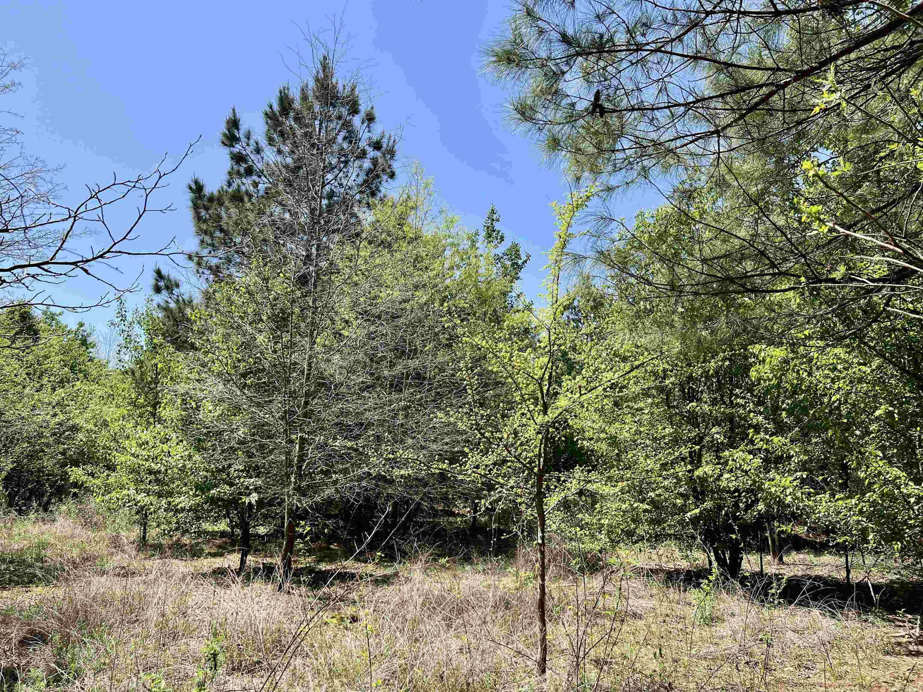 00  Cypress Lake  Beebe, AR