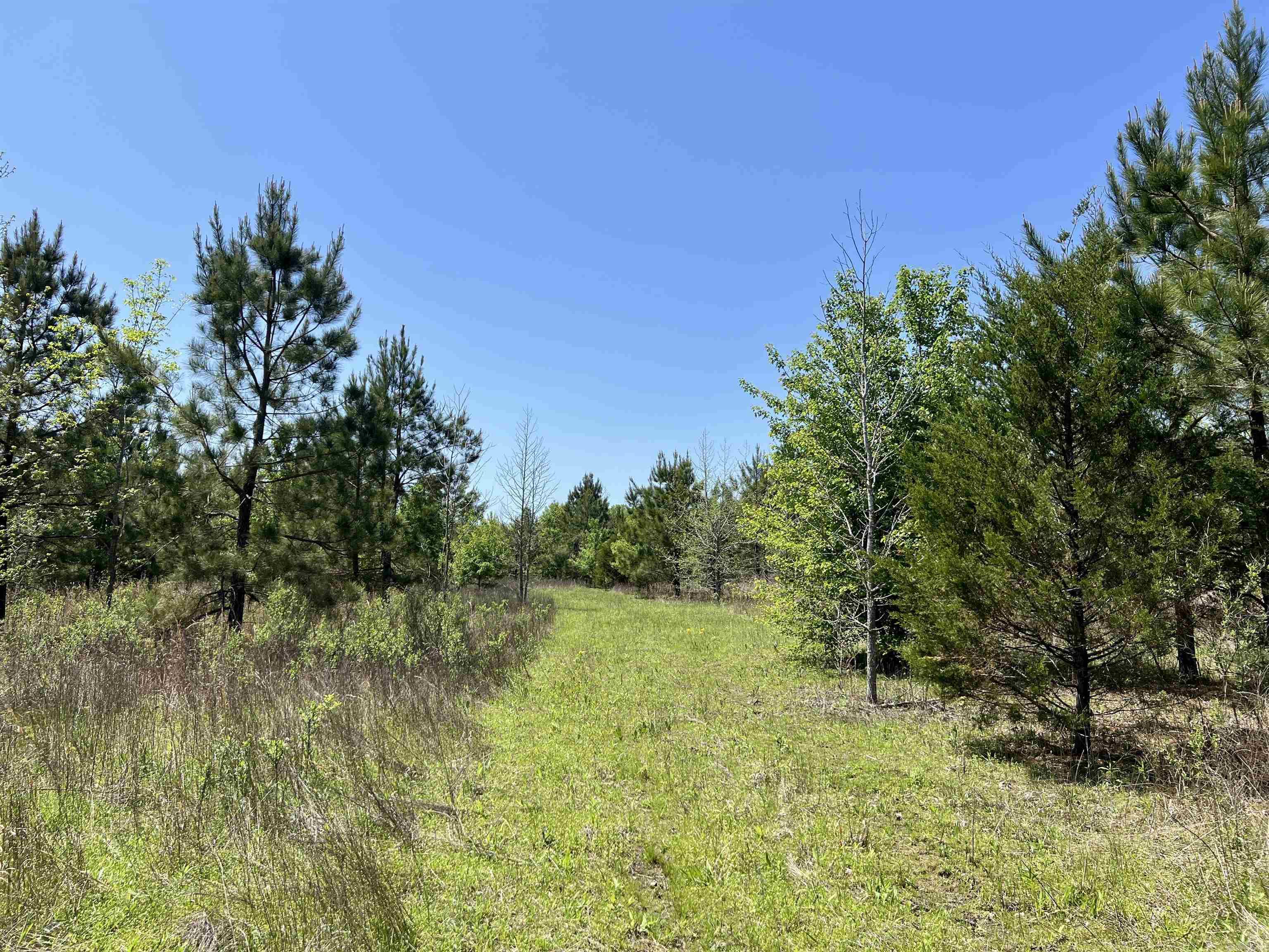 00  Cypress Lake  Beebe, AR
