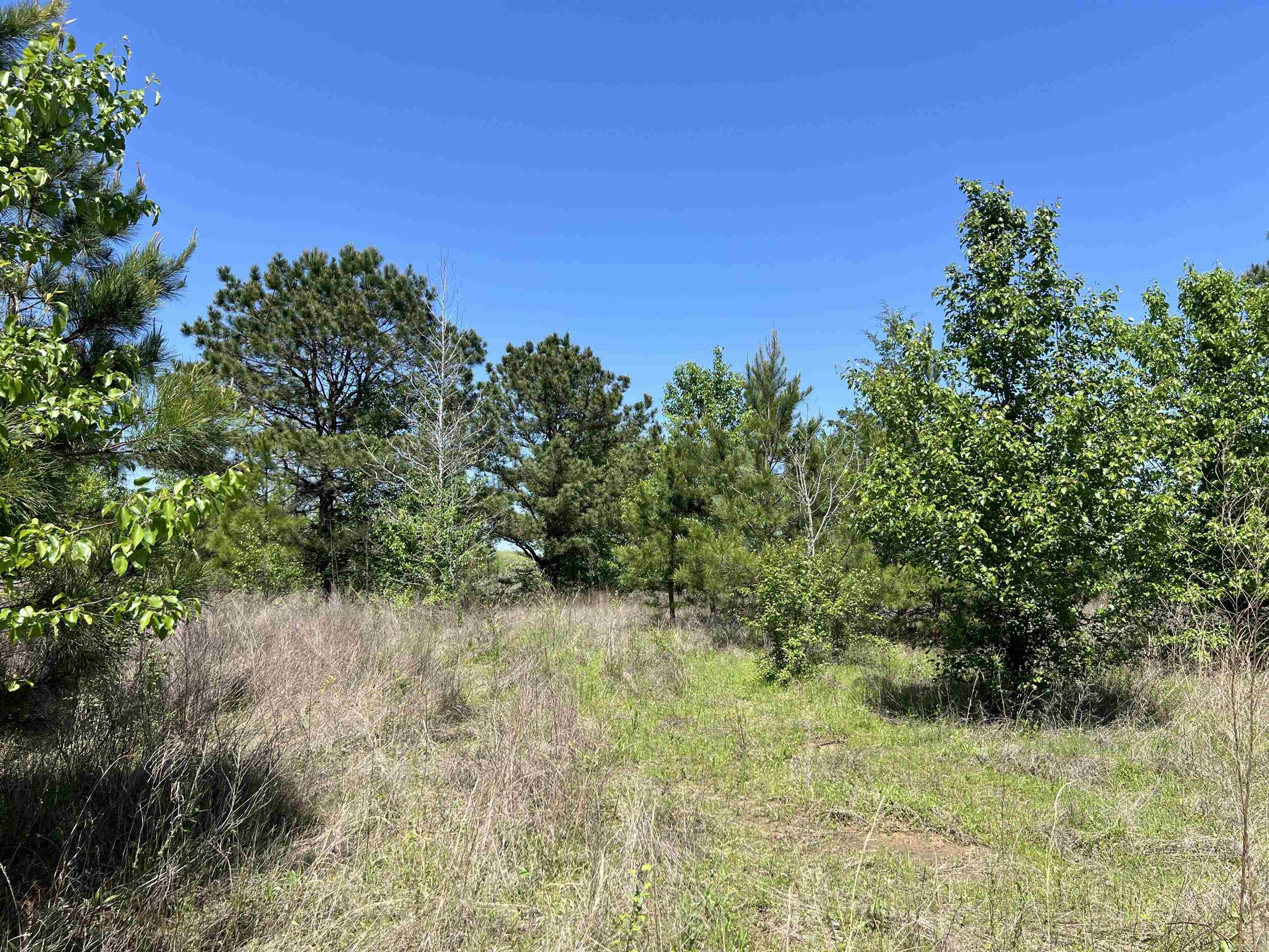 00  Cypress Lake  Beebe, AR