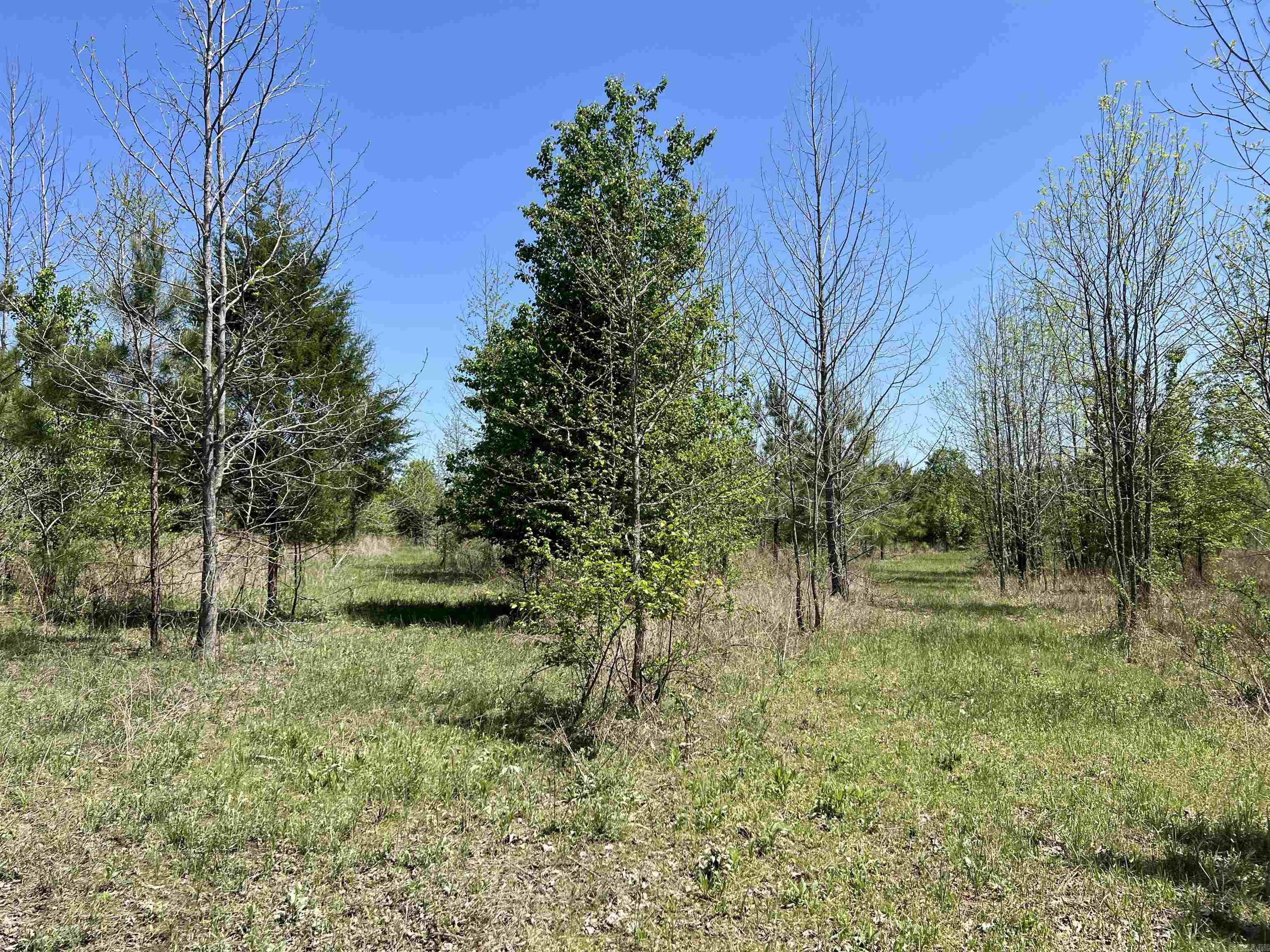 00  Cypress Lake  Beebe, AR