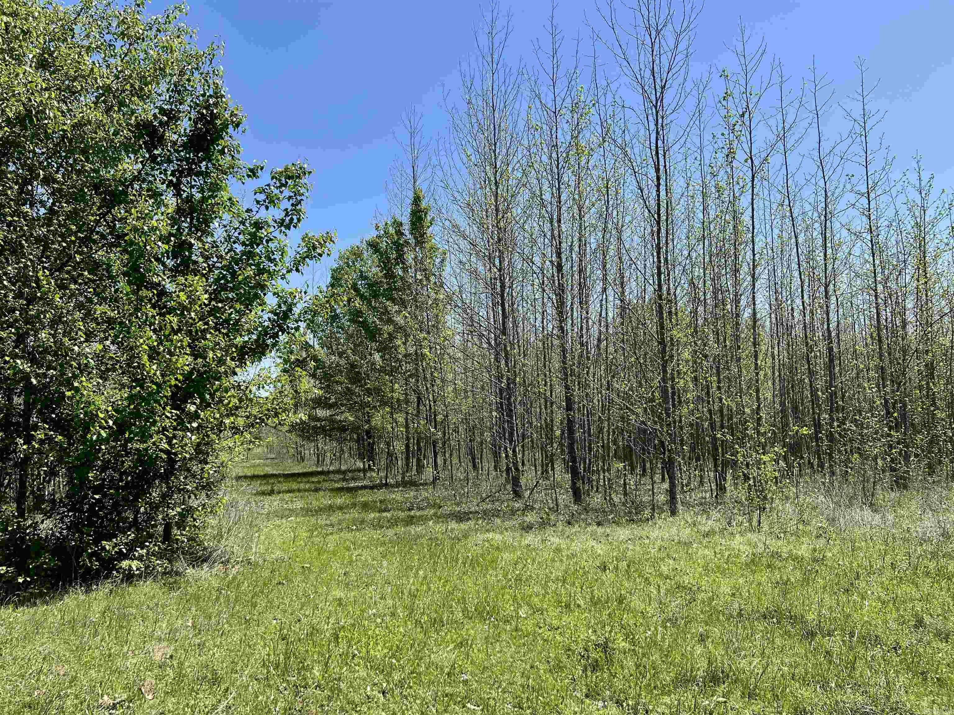 00  Cypress Lake  Beebe, AR