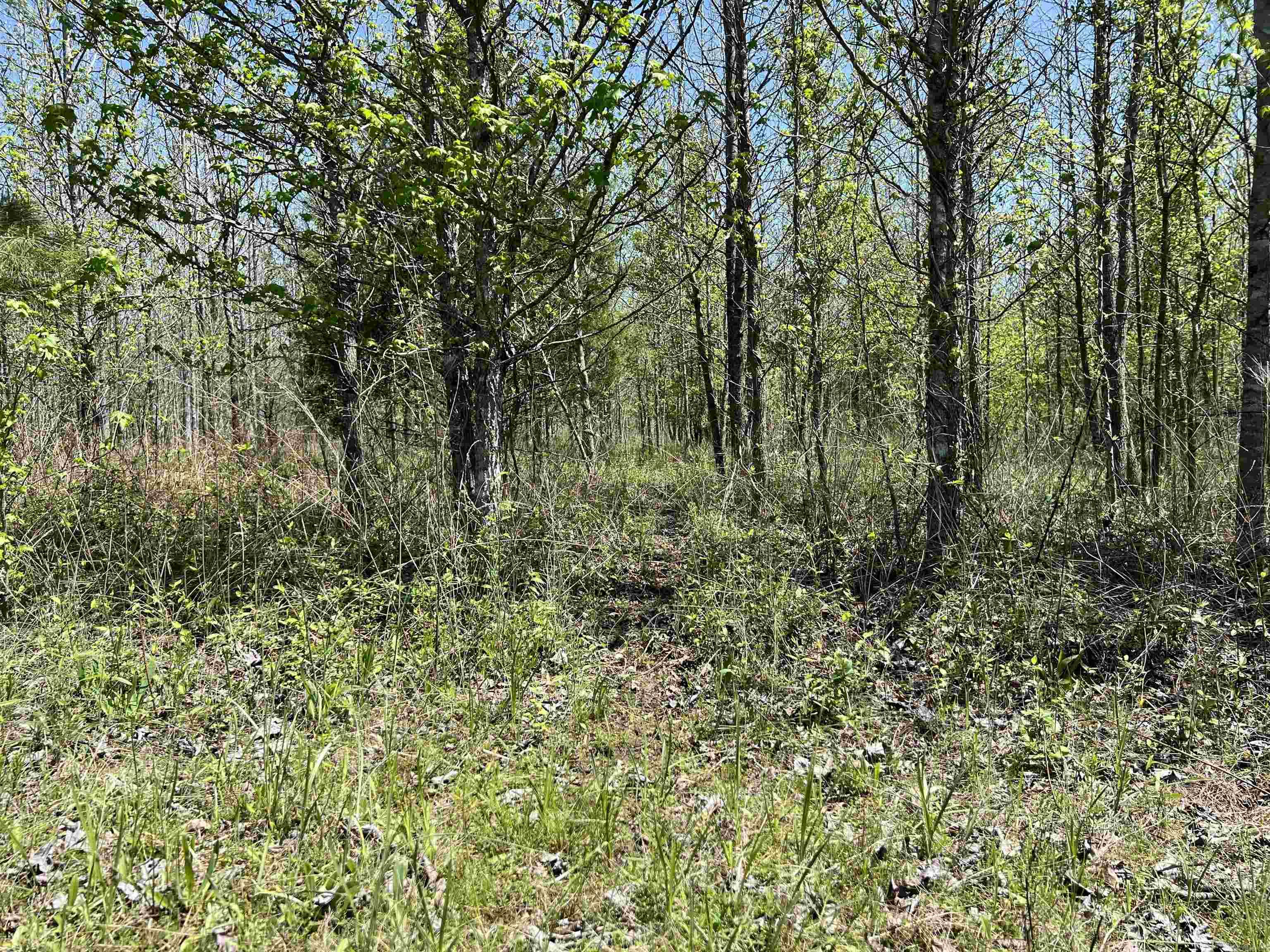 00  Cypress Lake  Beebe, AR