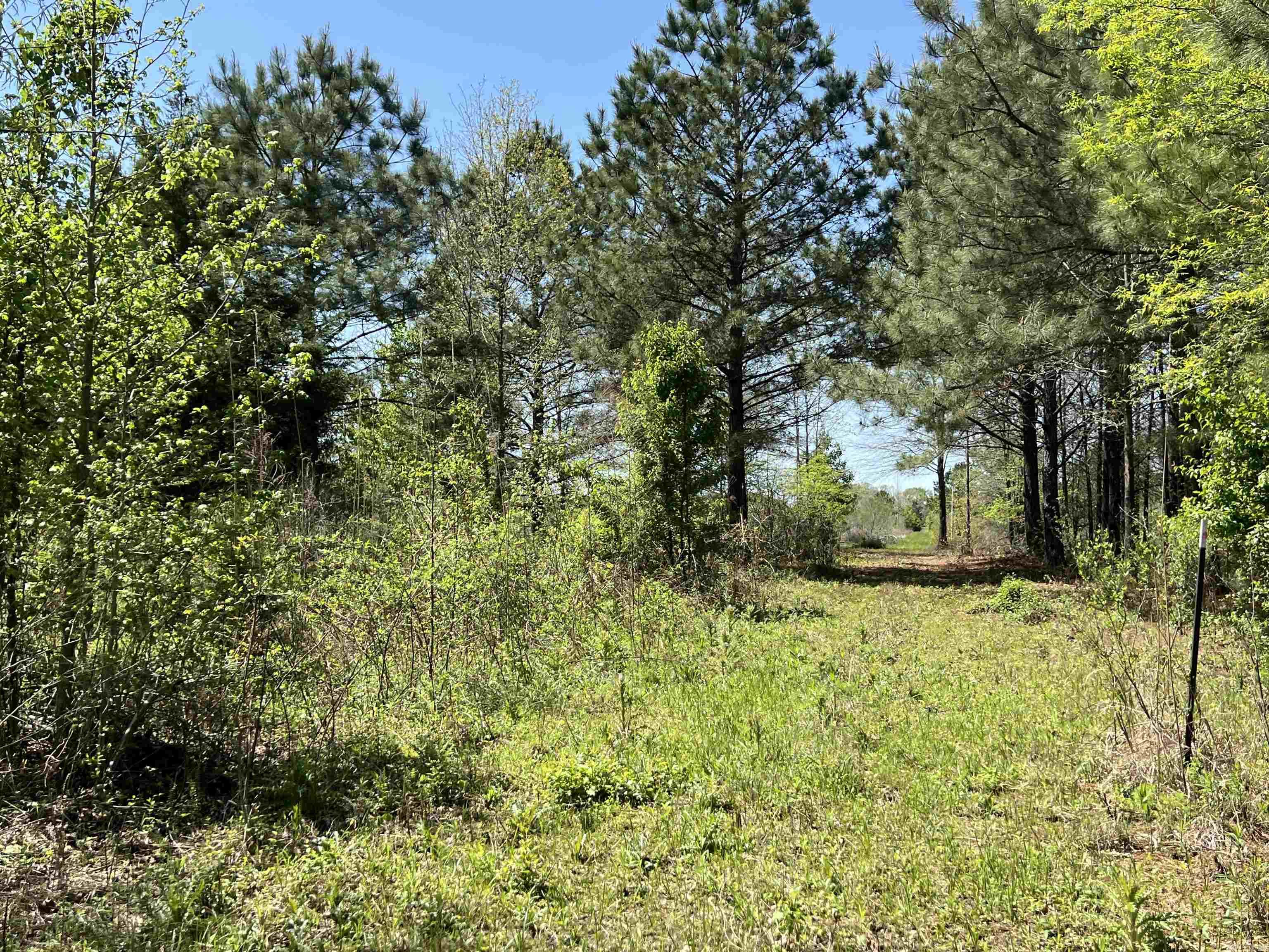00  Cypress Lake  Beebe, AR