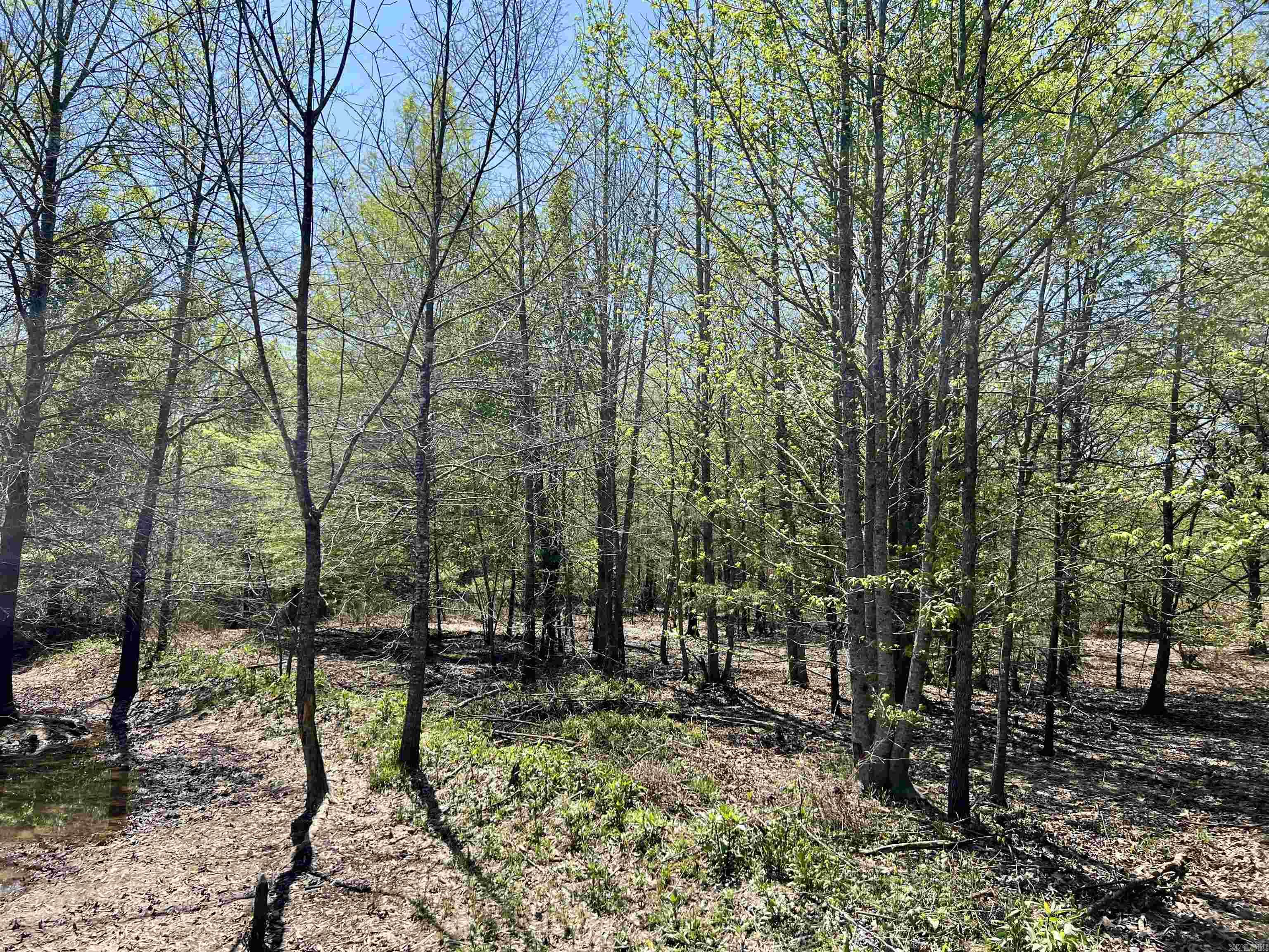 00  Cypress Lake  Beebe, AR