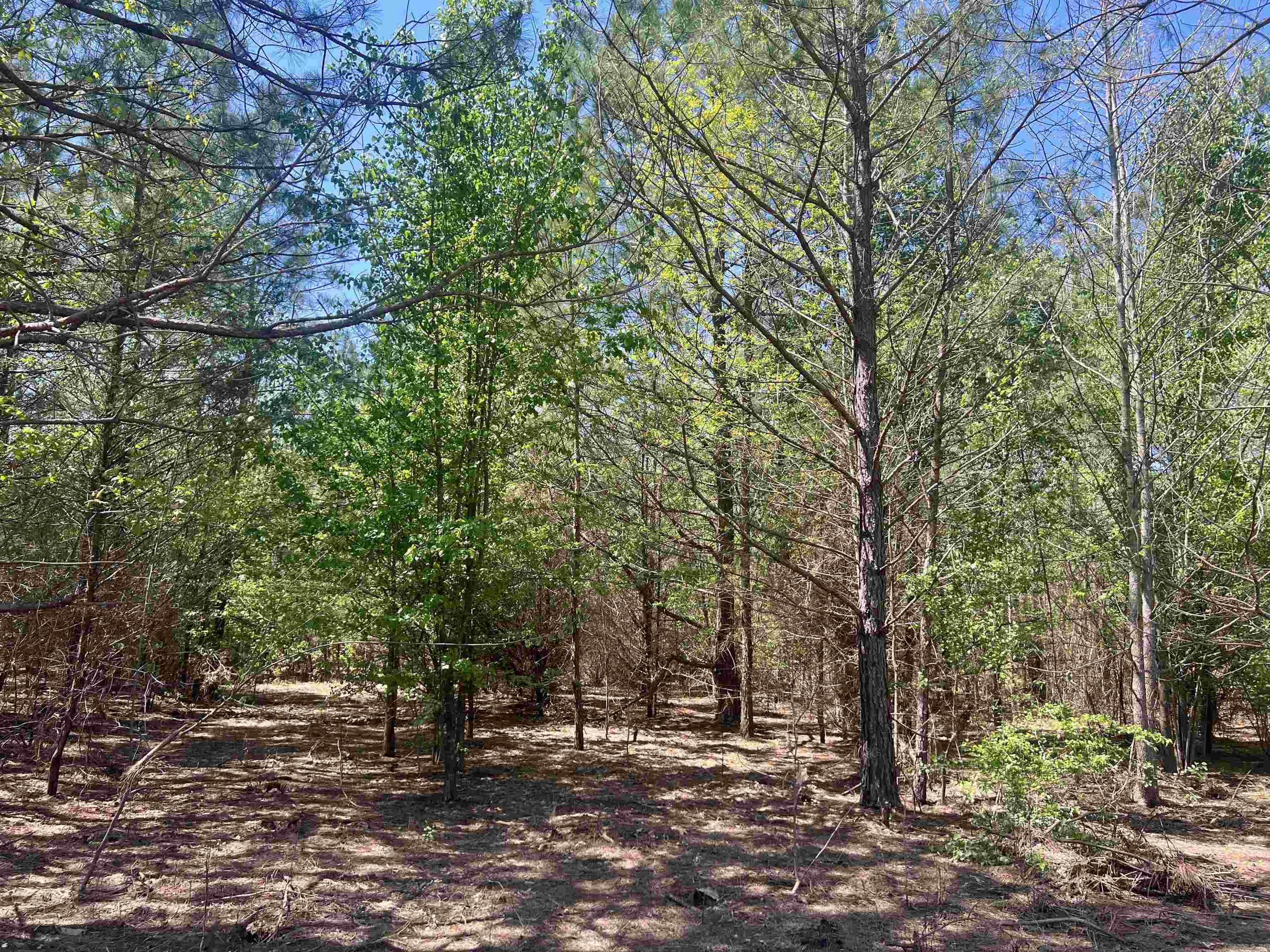 00  Cypress Lake  Beebe, AR