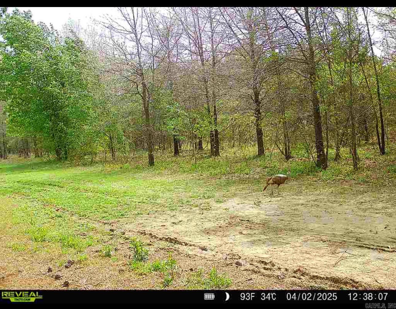00  Cypress Lake  Beebe, AR