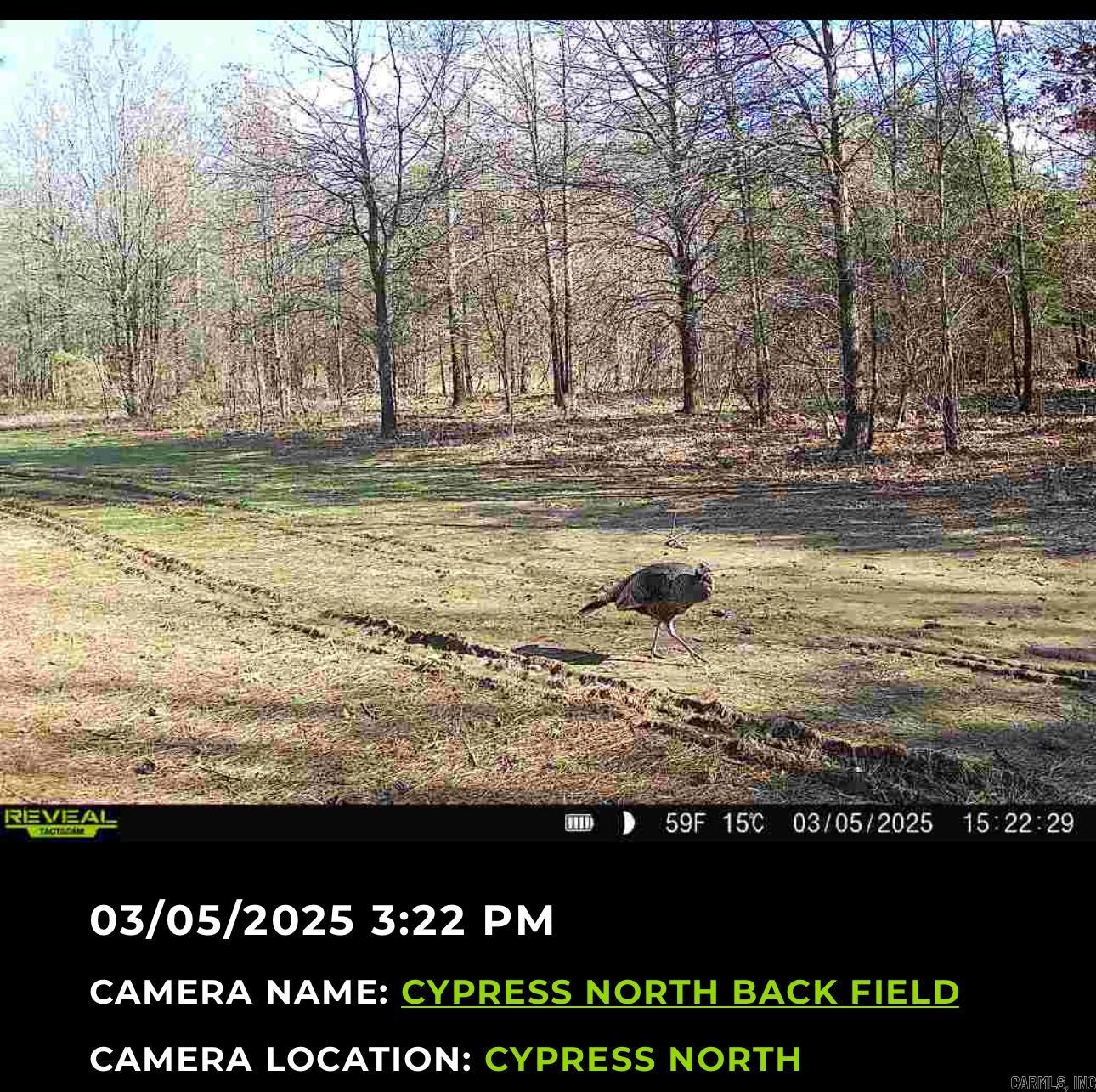 00  Cypress Lake  Beebe, AR