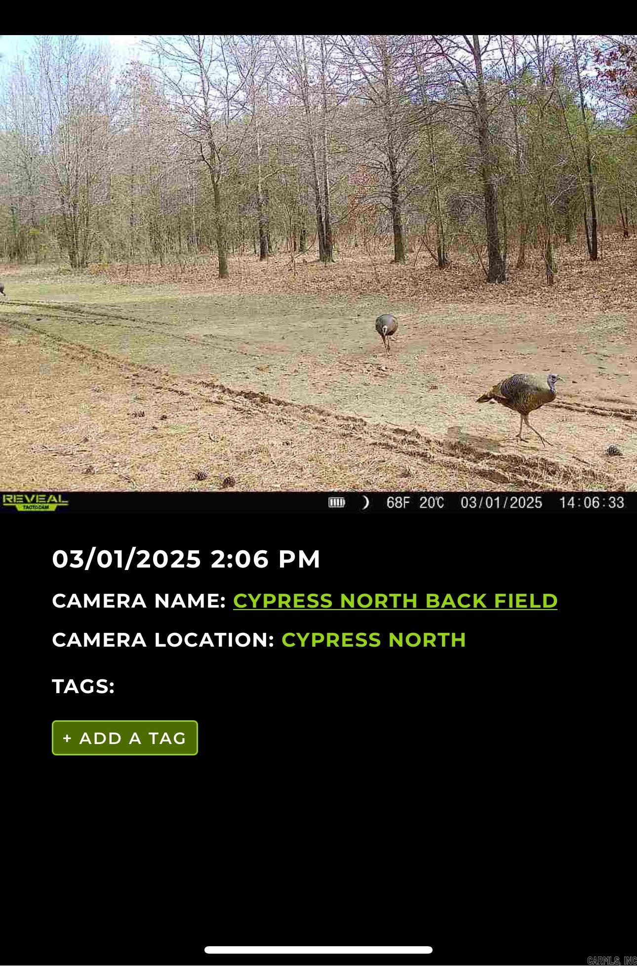 00  Cypress Lake  Beebe, AR