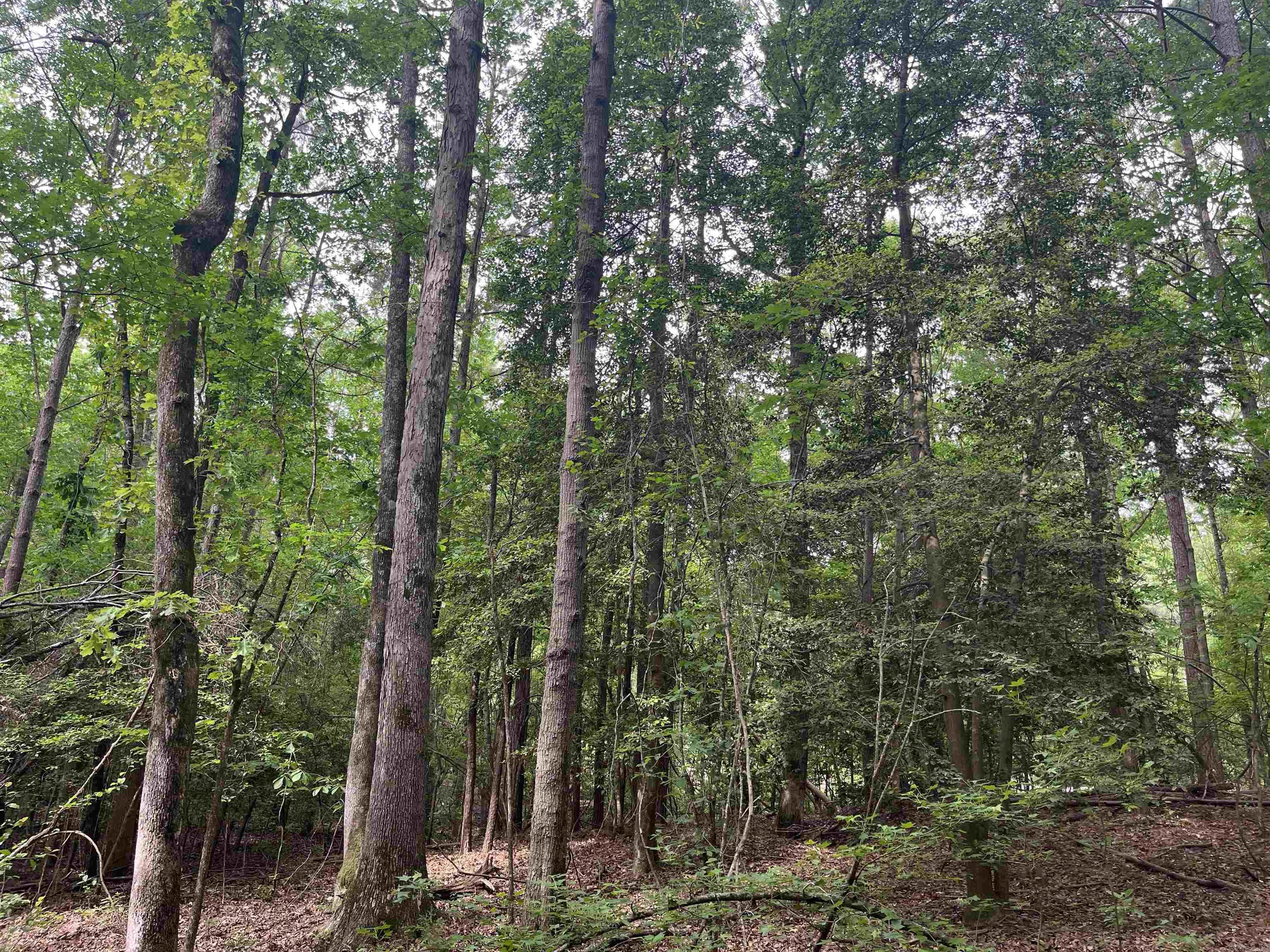 4976  Nevada 36  Rosston, AR