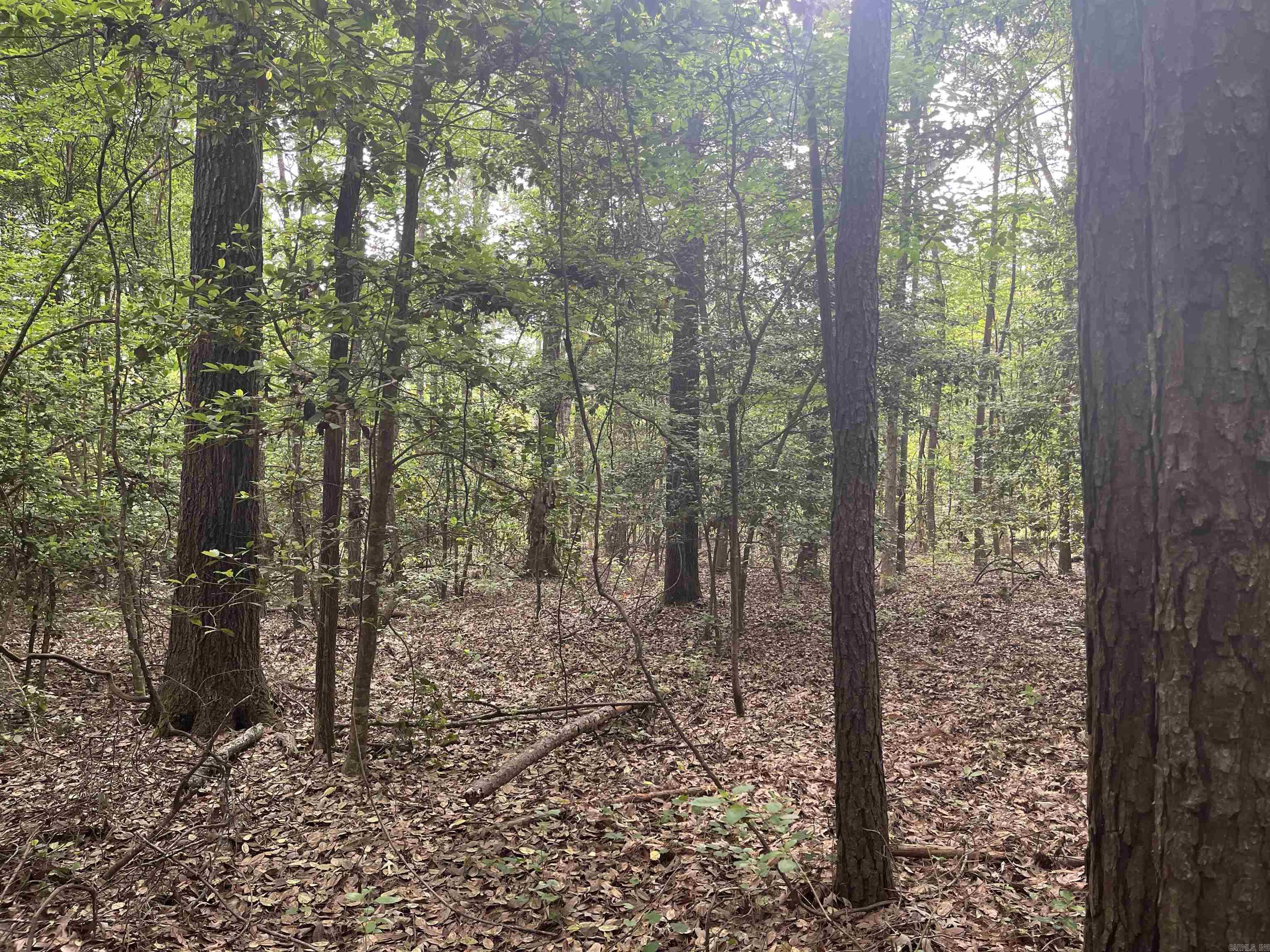 4976  Nevada 36  Rosston, AR
